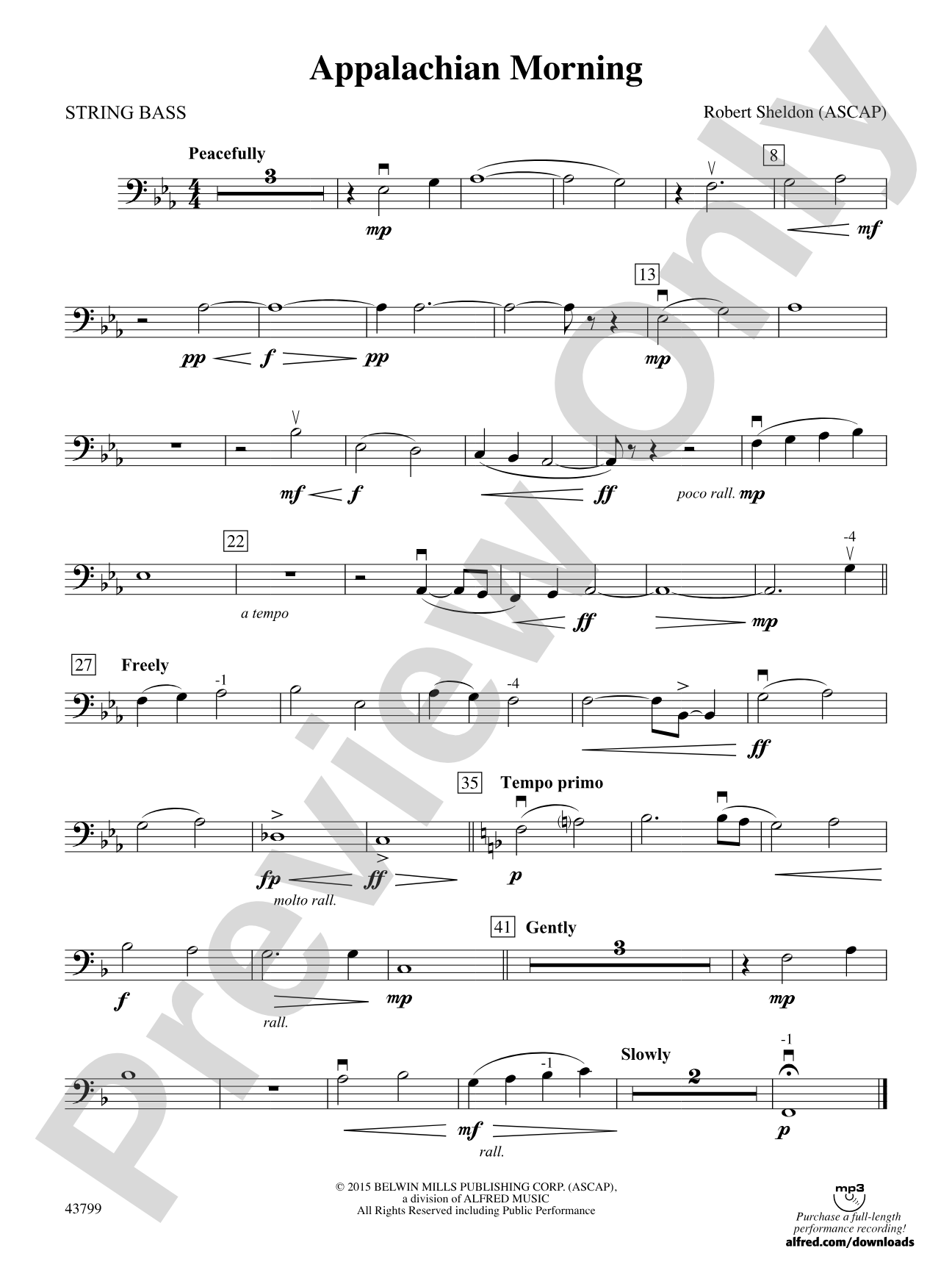 Appalachian Morning: String Bass