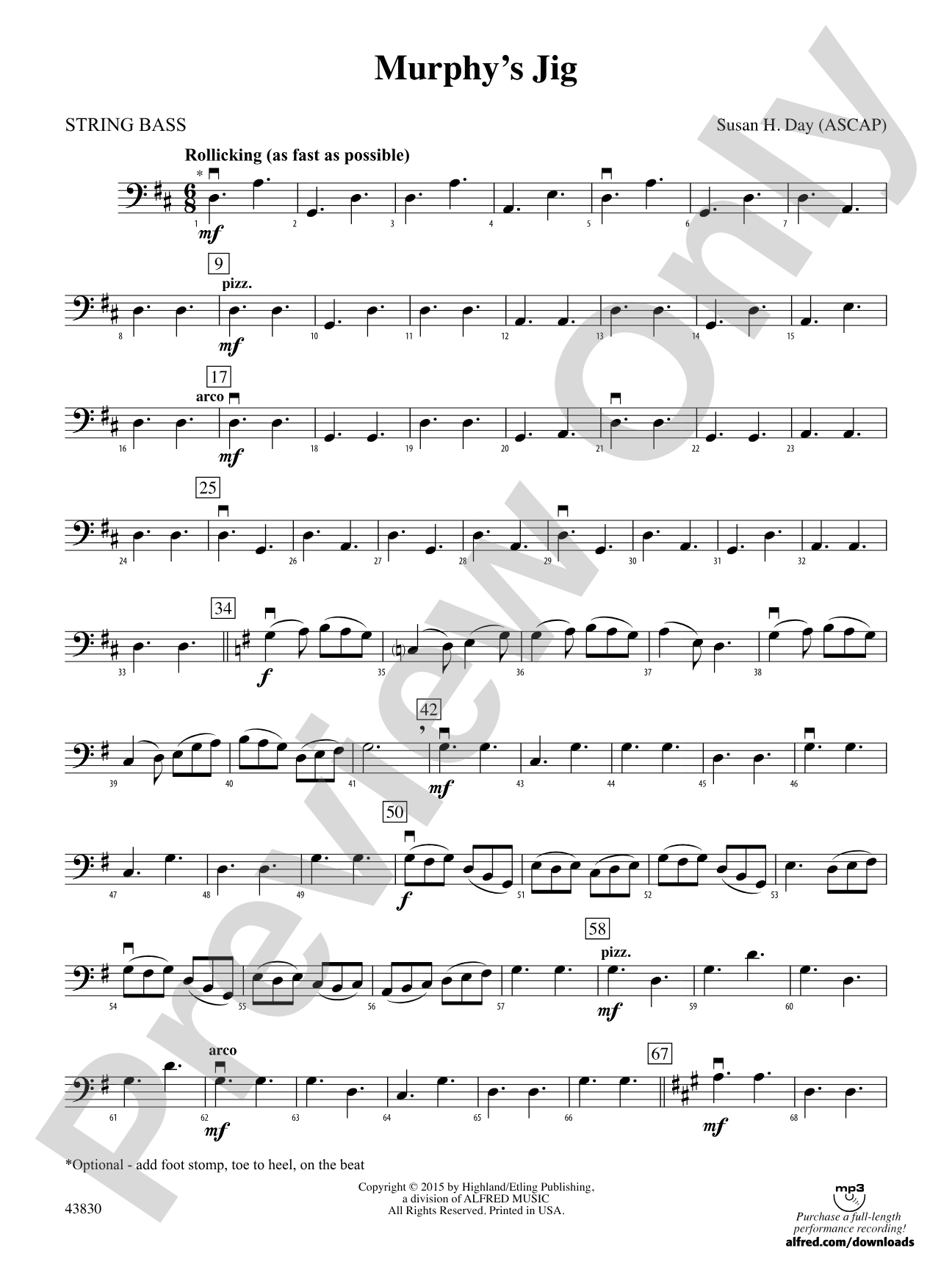 Murphy's Jig: String Bass