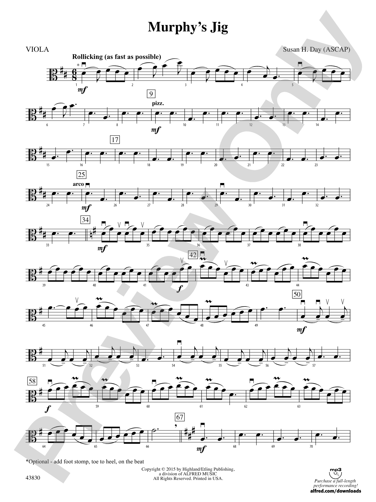 Murphy's Jig: Viola