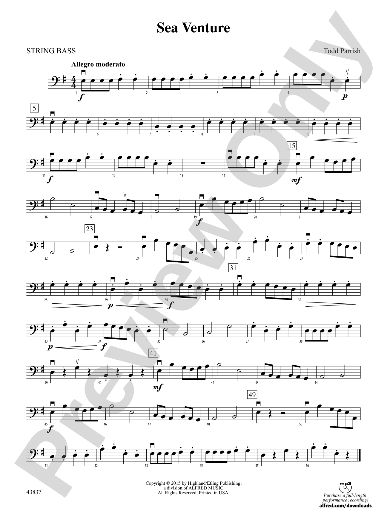 Sea Venture: String Bass