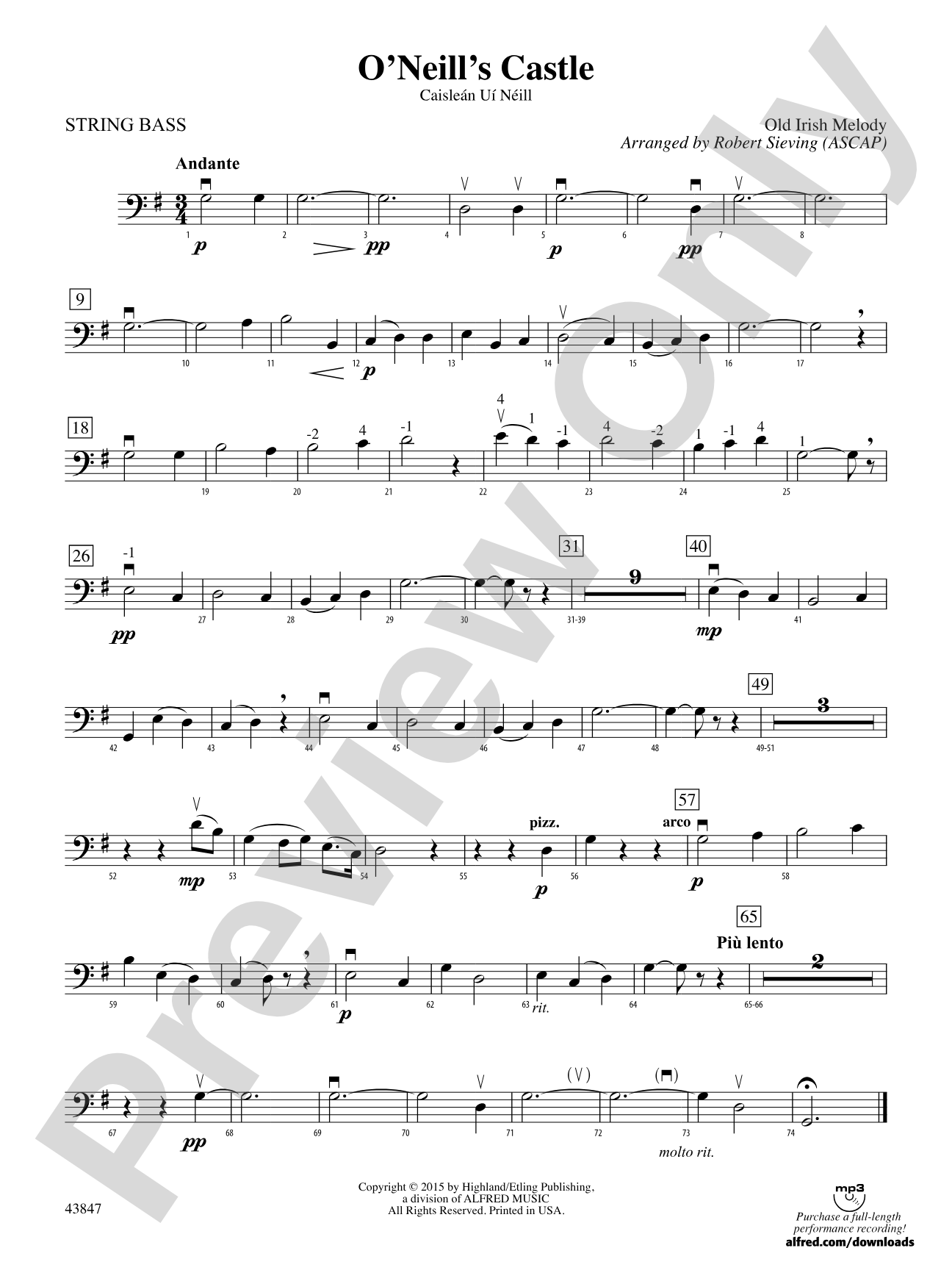 O'Neill's Castle: String Bass