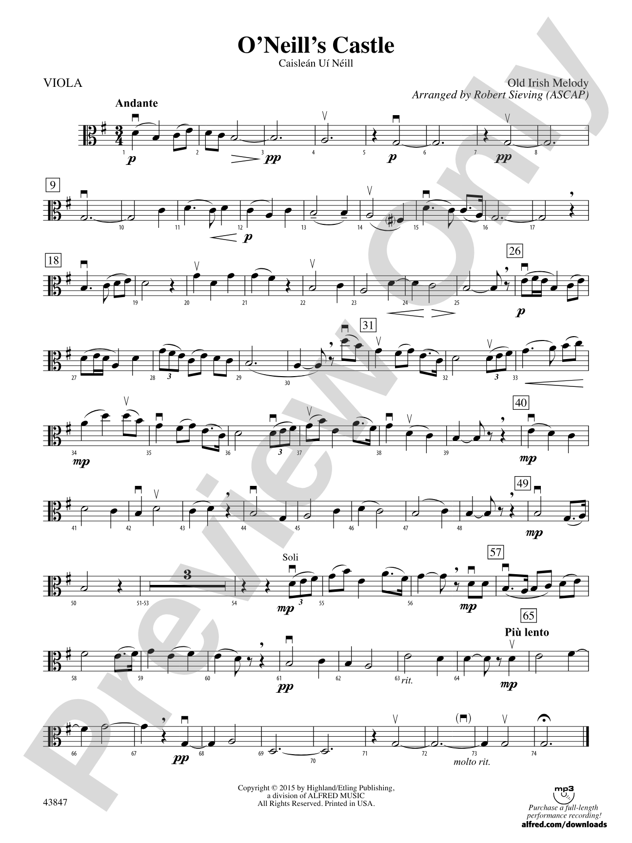 O'Neill's Castle: Viola