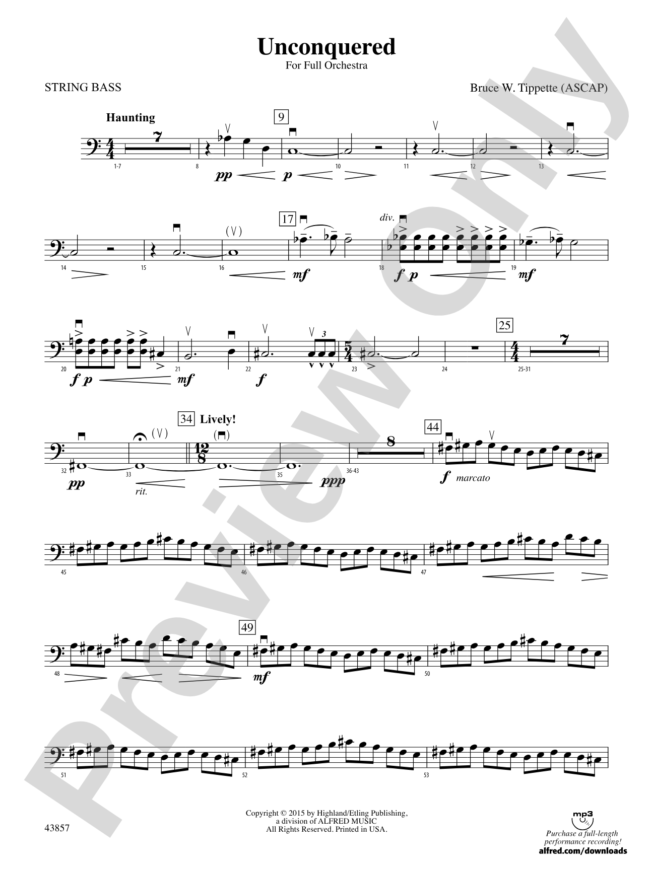 Unconquered: String Bass