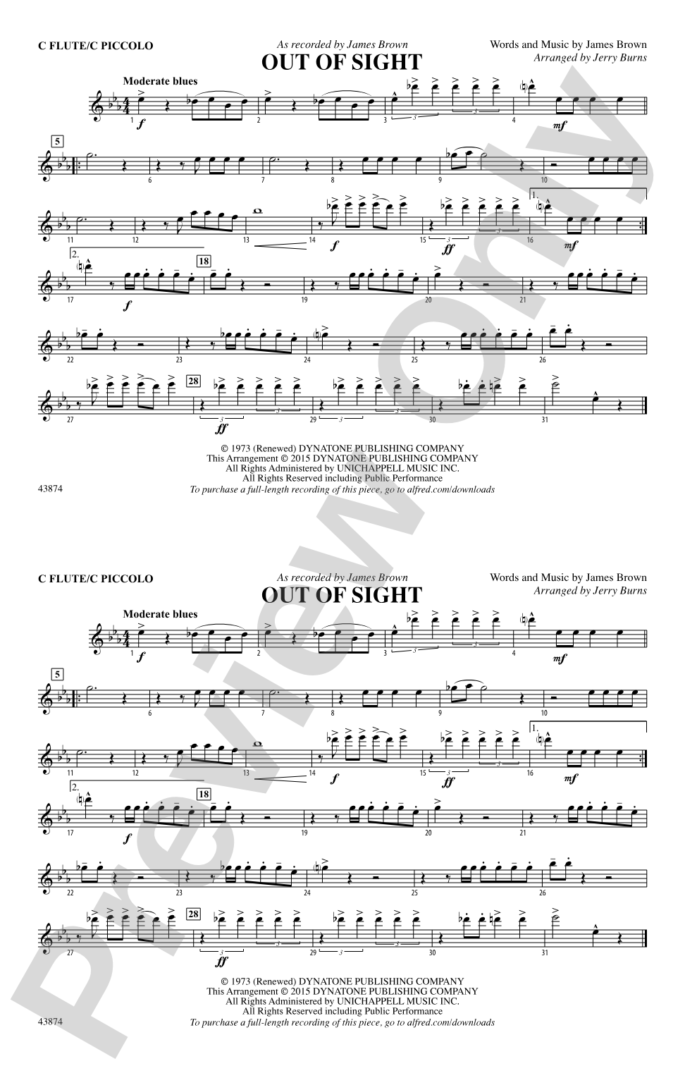 Out of Sight: Flute