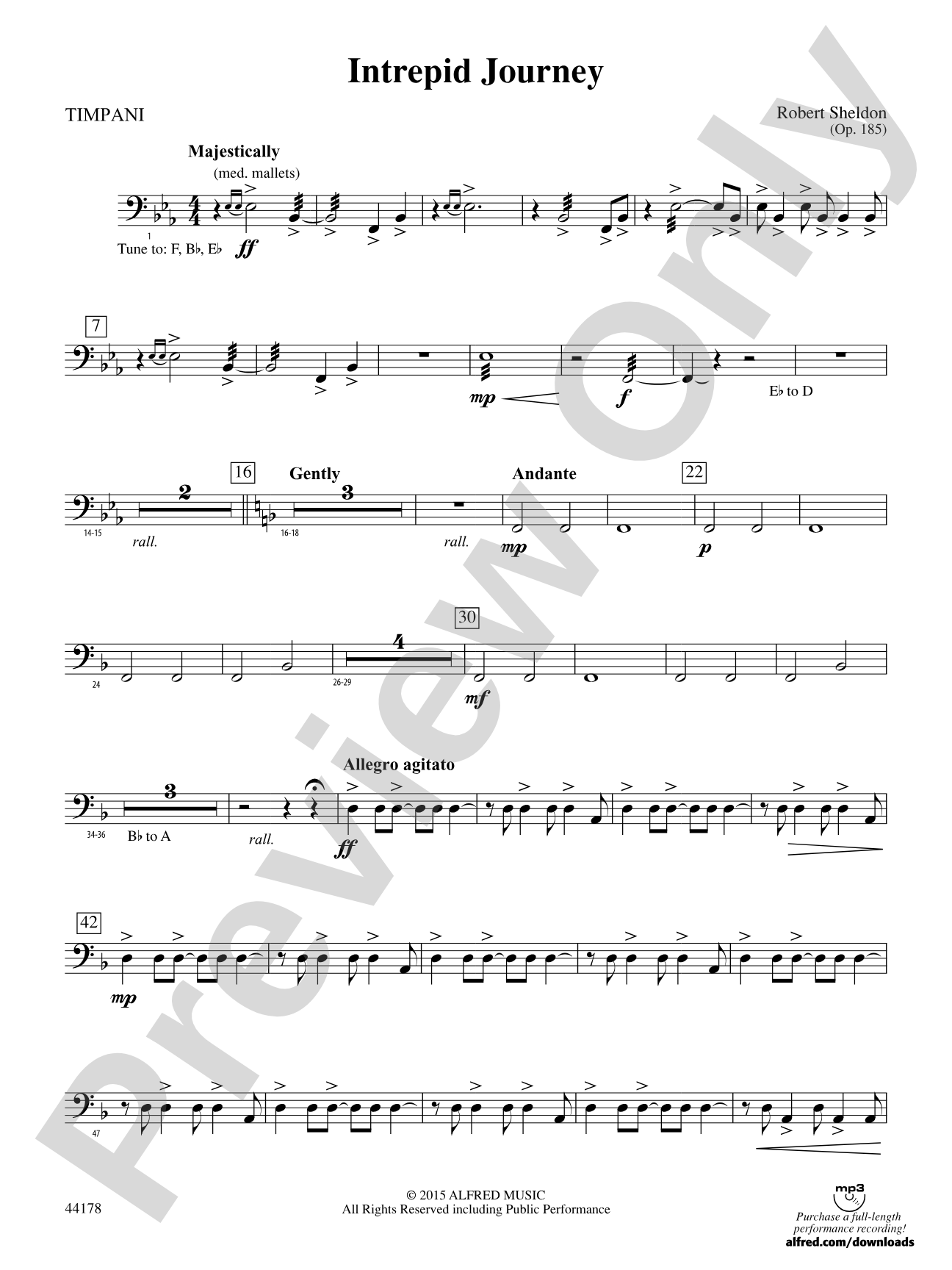Intrepid Journey: Timpani