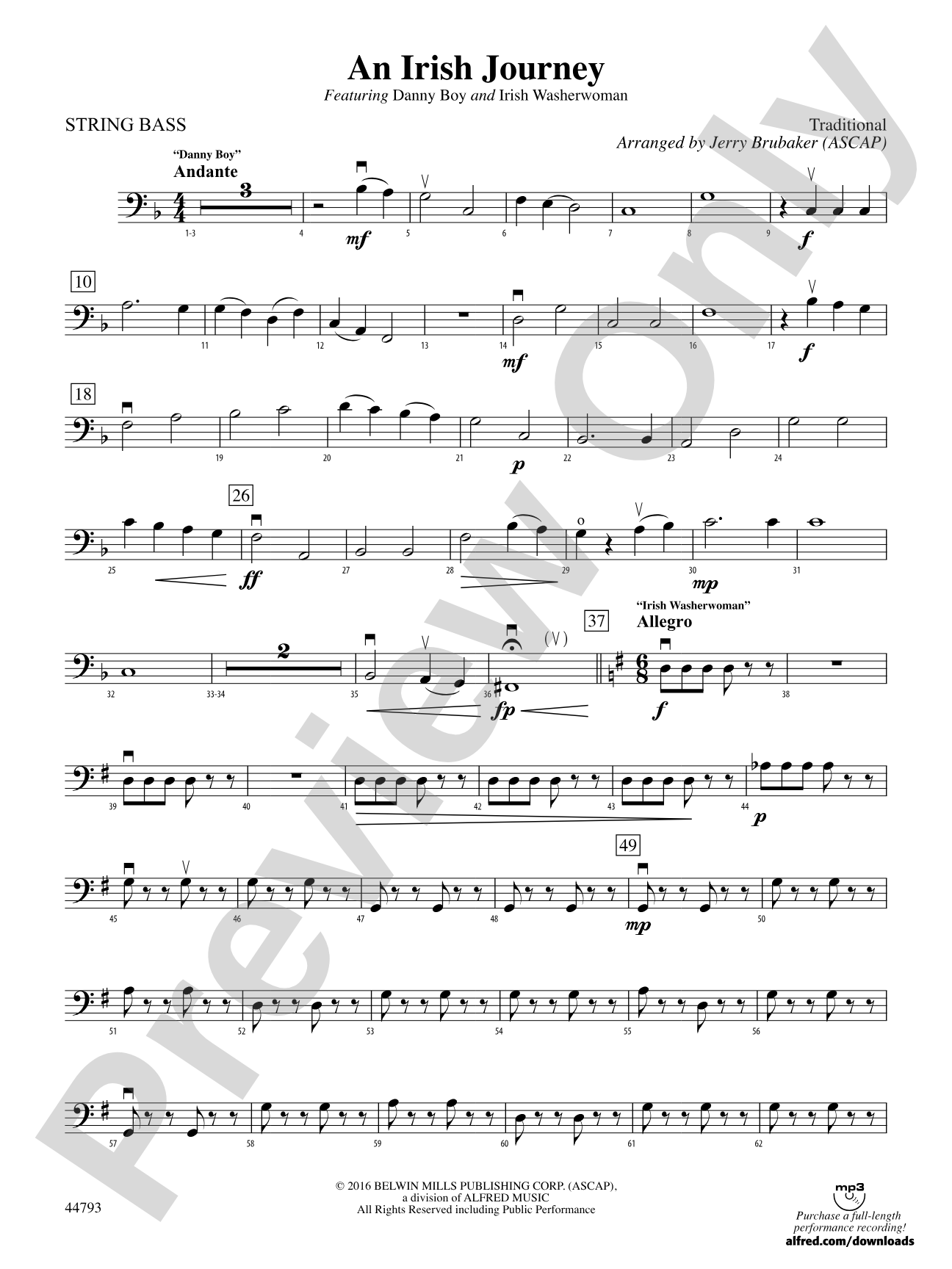An Irish Journey: String Bass