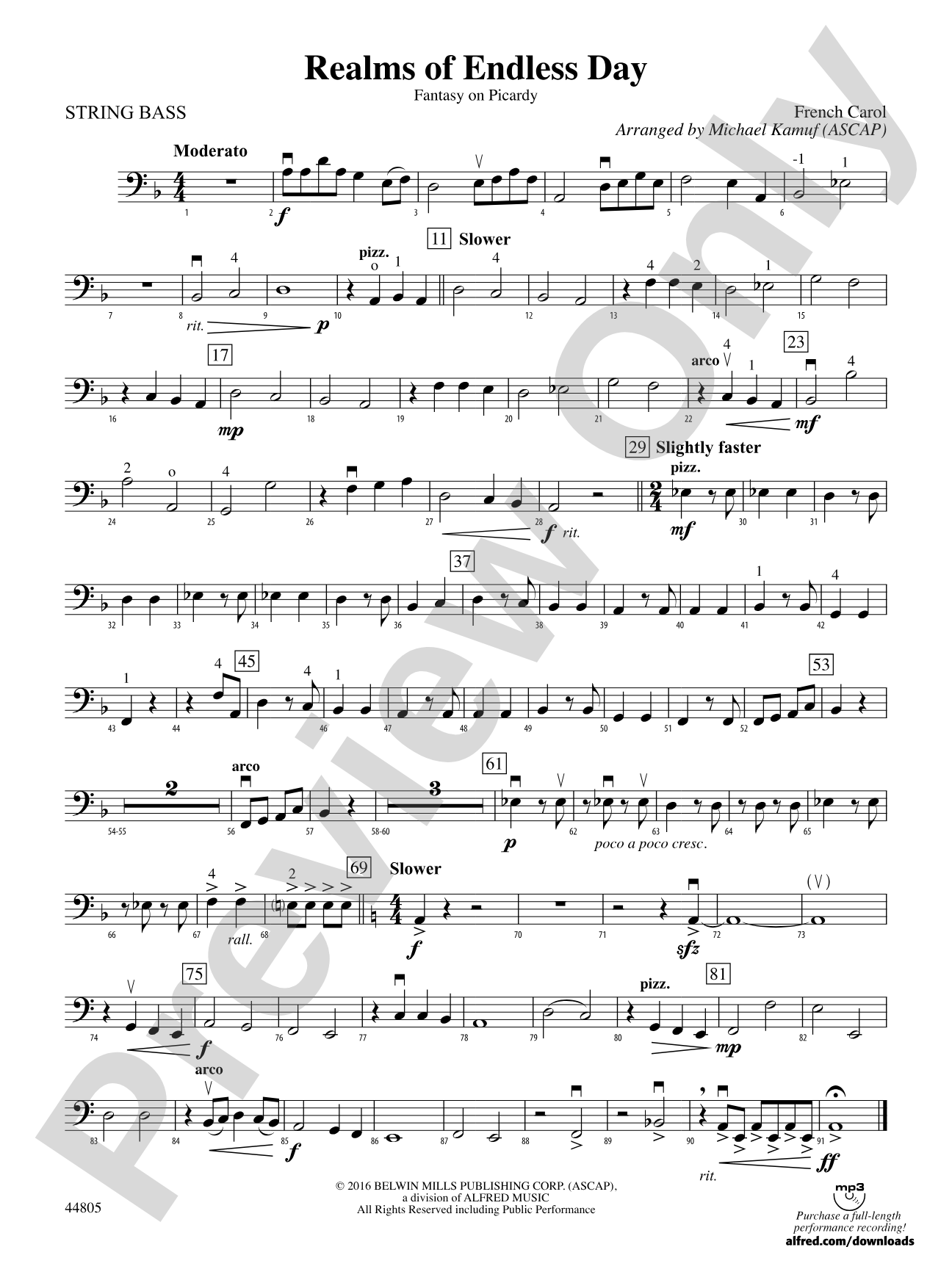 Realms of Endless Day: String Bass