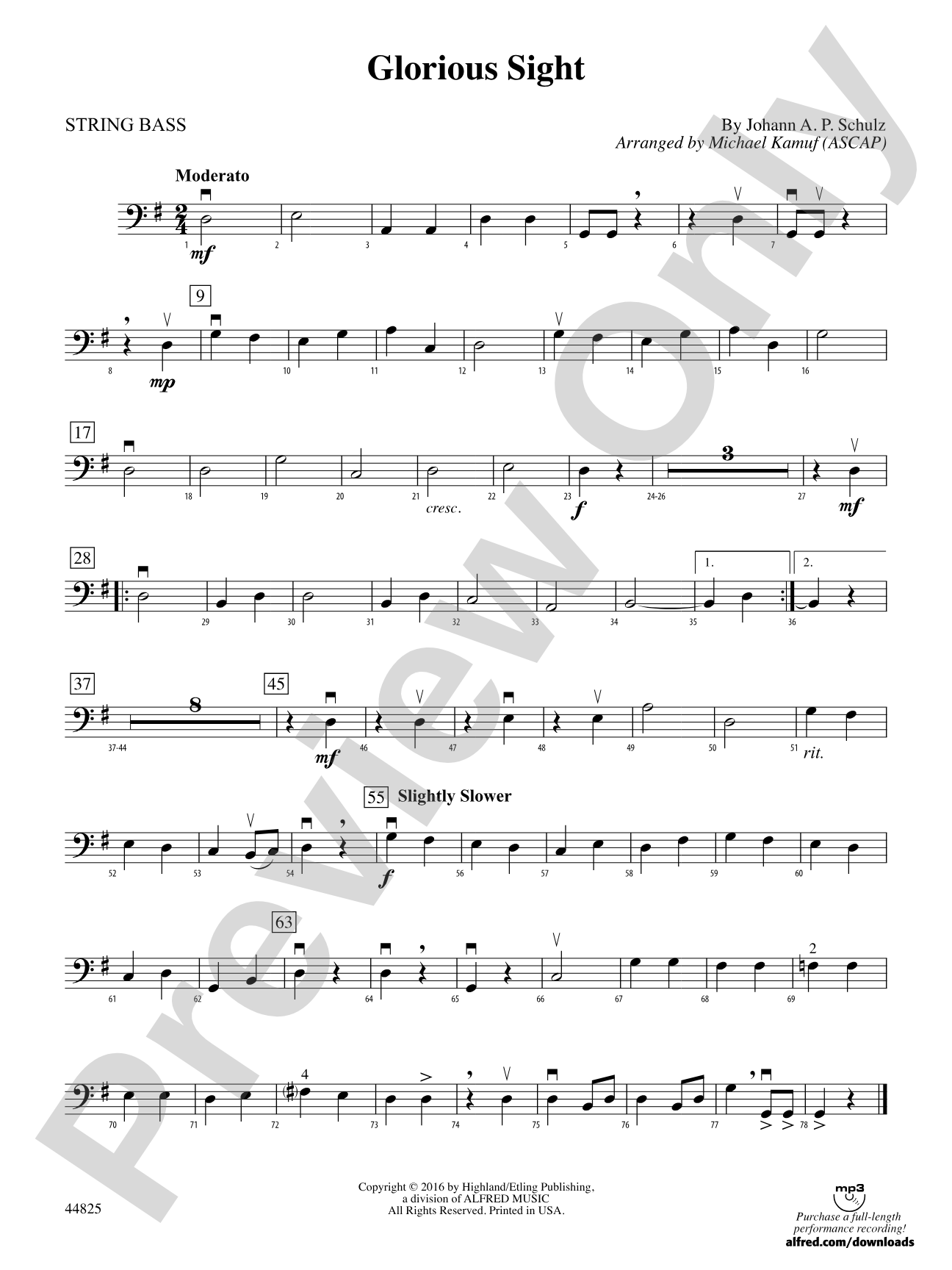 Glorious Sight: String Bass