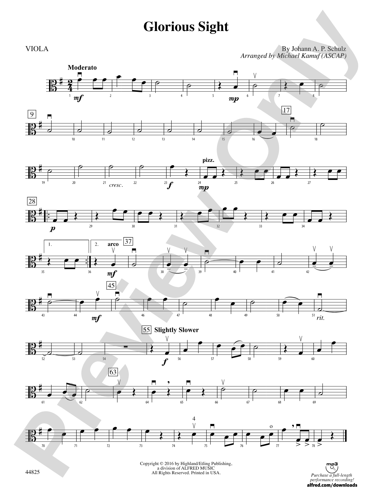 Glorious Sight: Viola