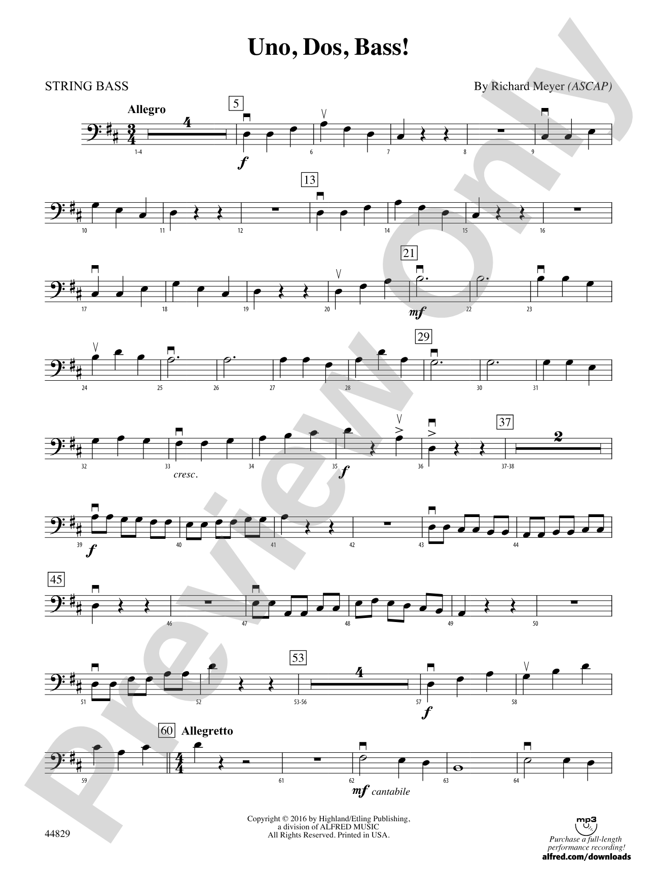 Uno, Dos, Bass!: String Bass