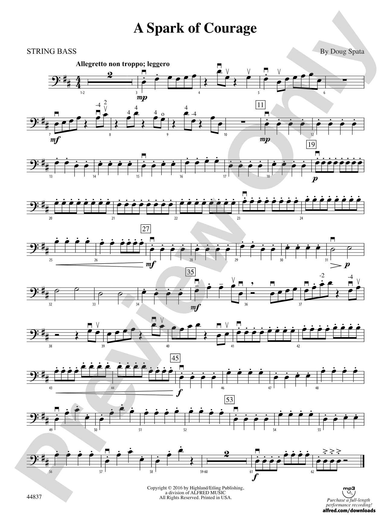 A Spark of Courage: String Bass