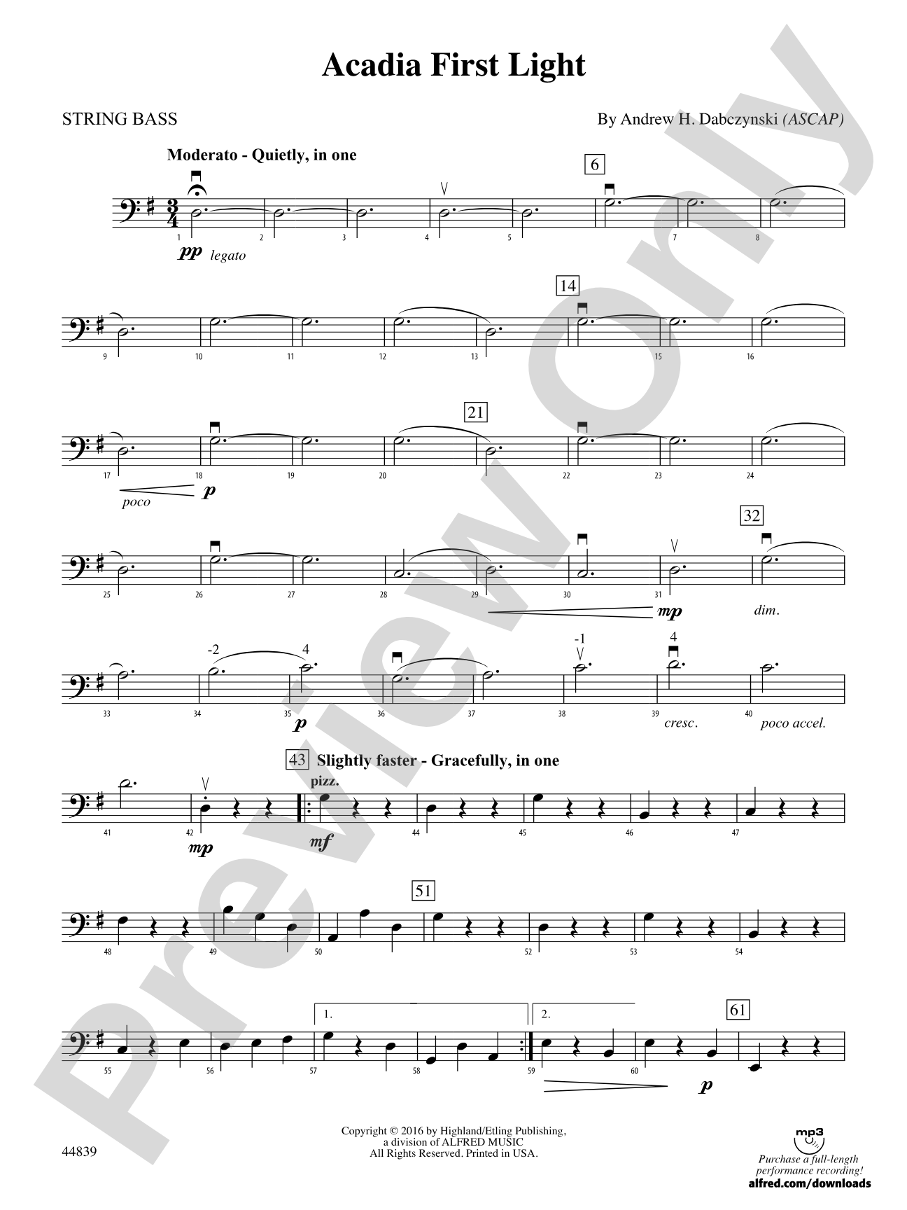 Acadia First Light: String Bass