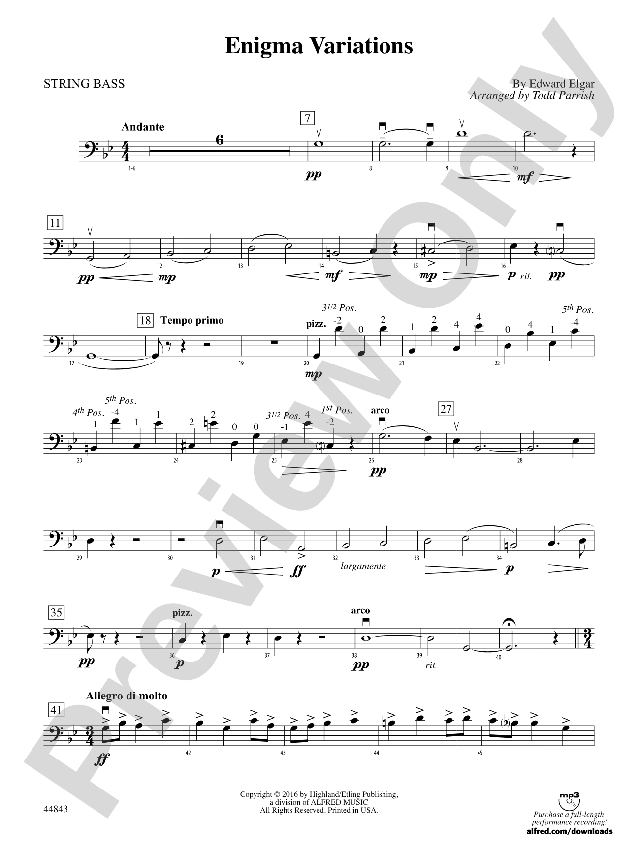 Enigma Variations: String Bass