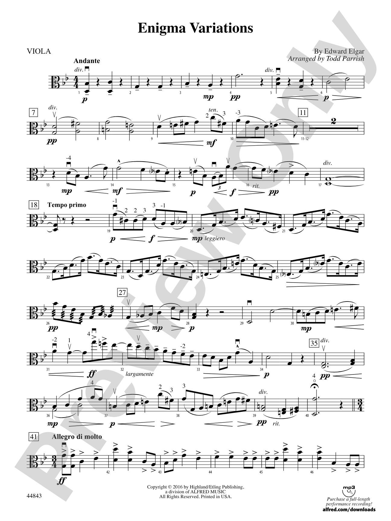 Enigma Variations: Viola