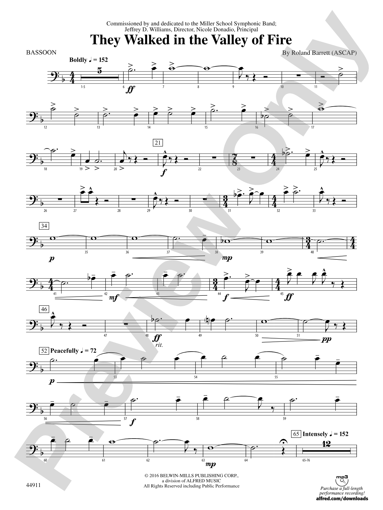 They Walked in the Valley of Fire: Bassoon