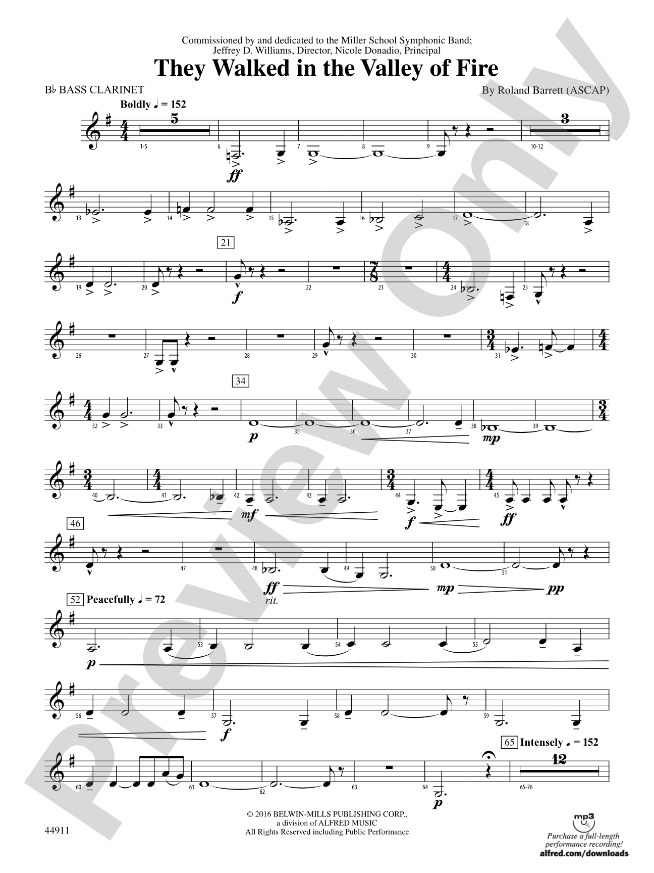 They Walked in the Valley of Fire: B-flat Bass Clarinet