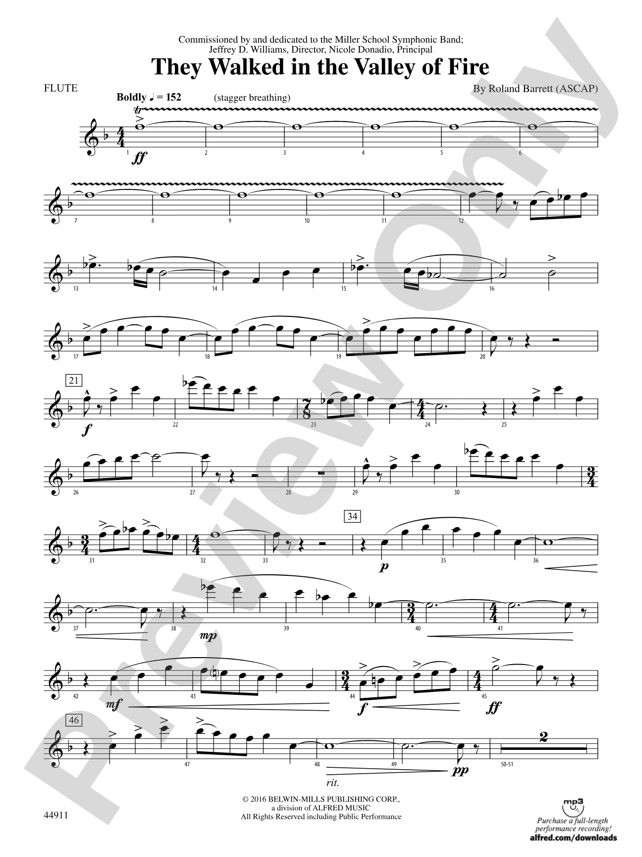 They Walked in the Valley of Fire: Flute