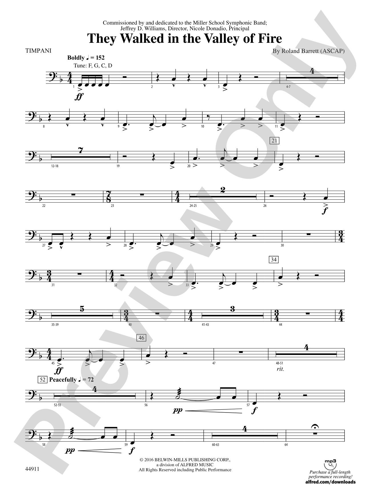 They Walked in the Valley of Fire: Timpani