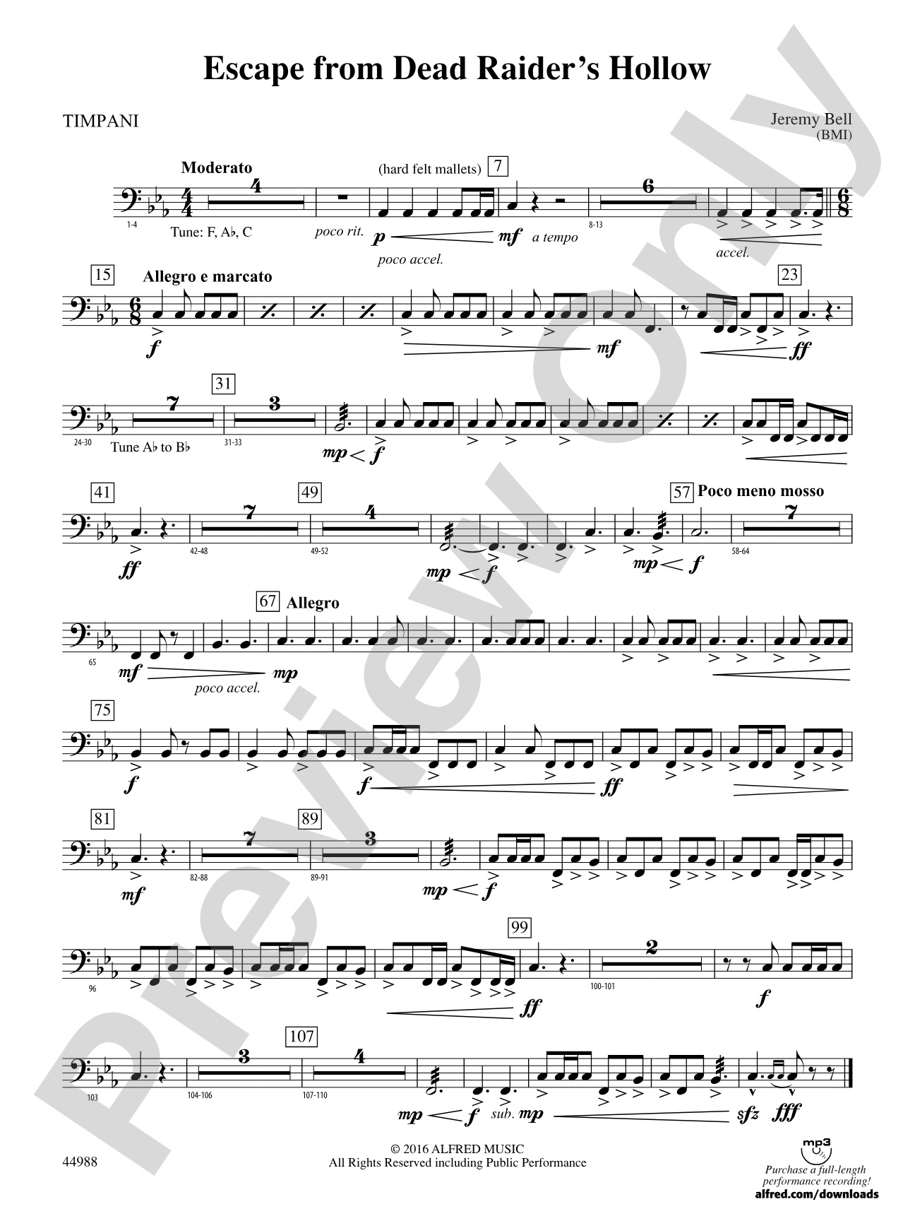 Escape from Dead Raider's Hollow: Timpani