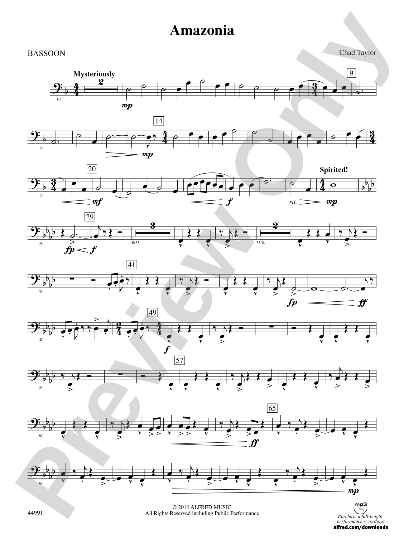 Amazonia: Bassoon