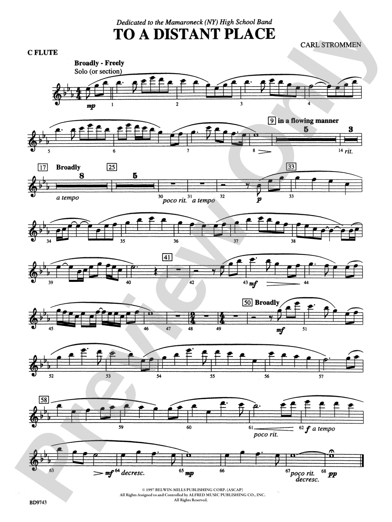 To a Distant Place: Flute