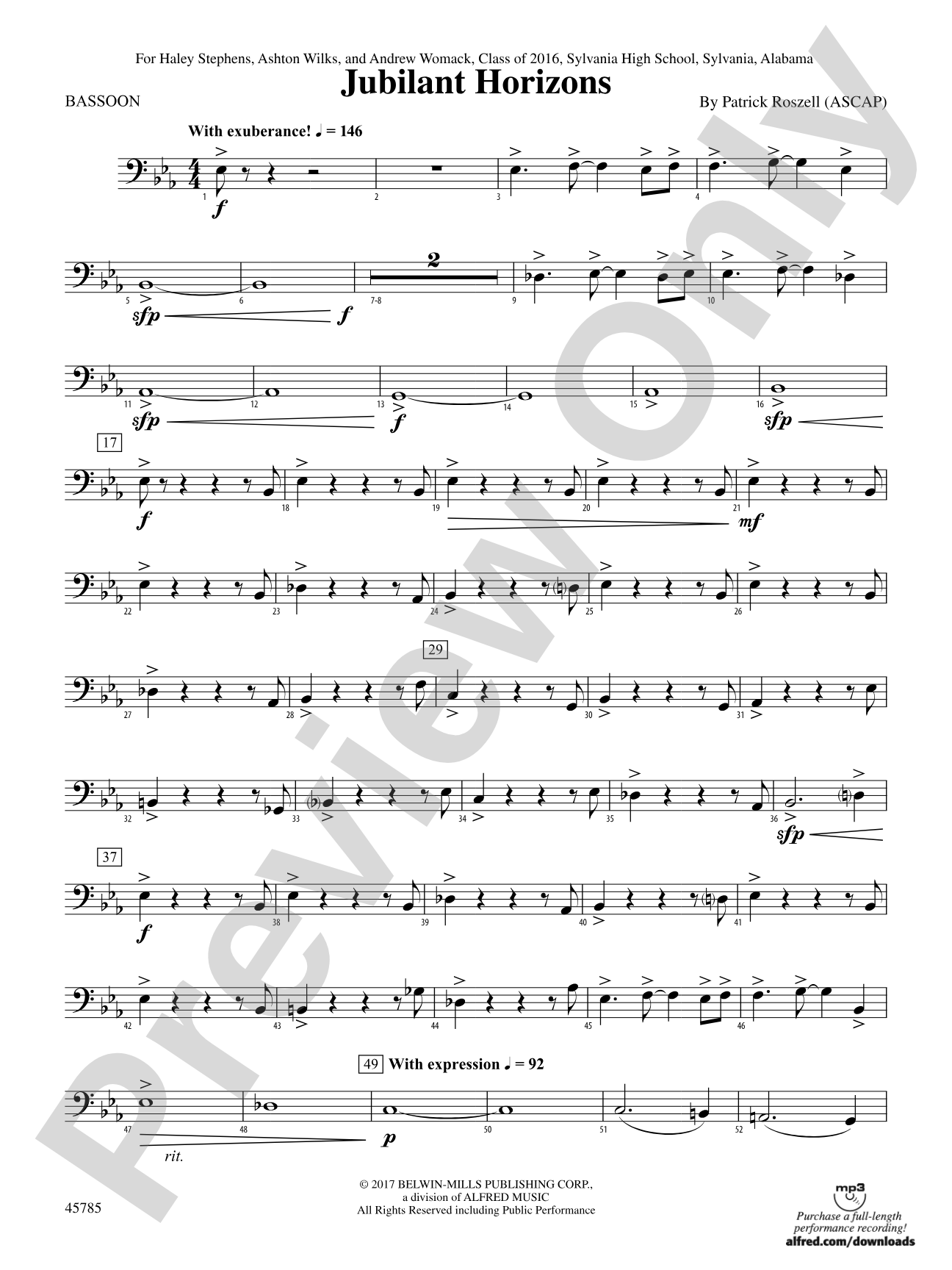 Jubilant Horizons: Bassoon
