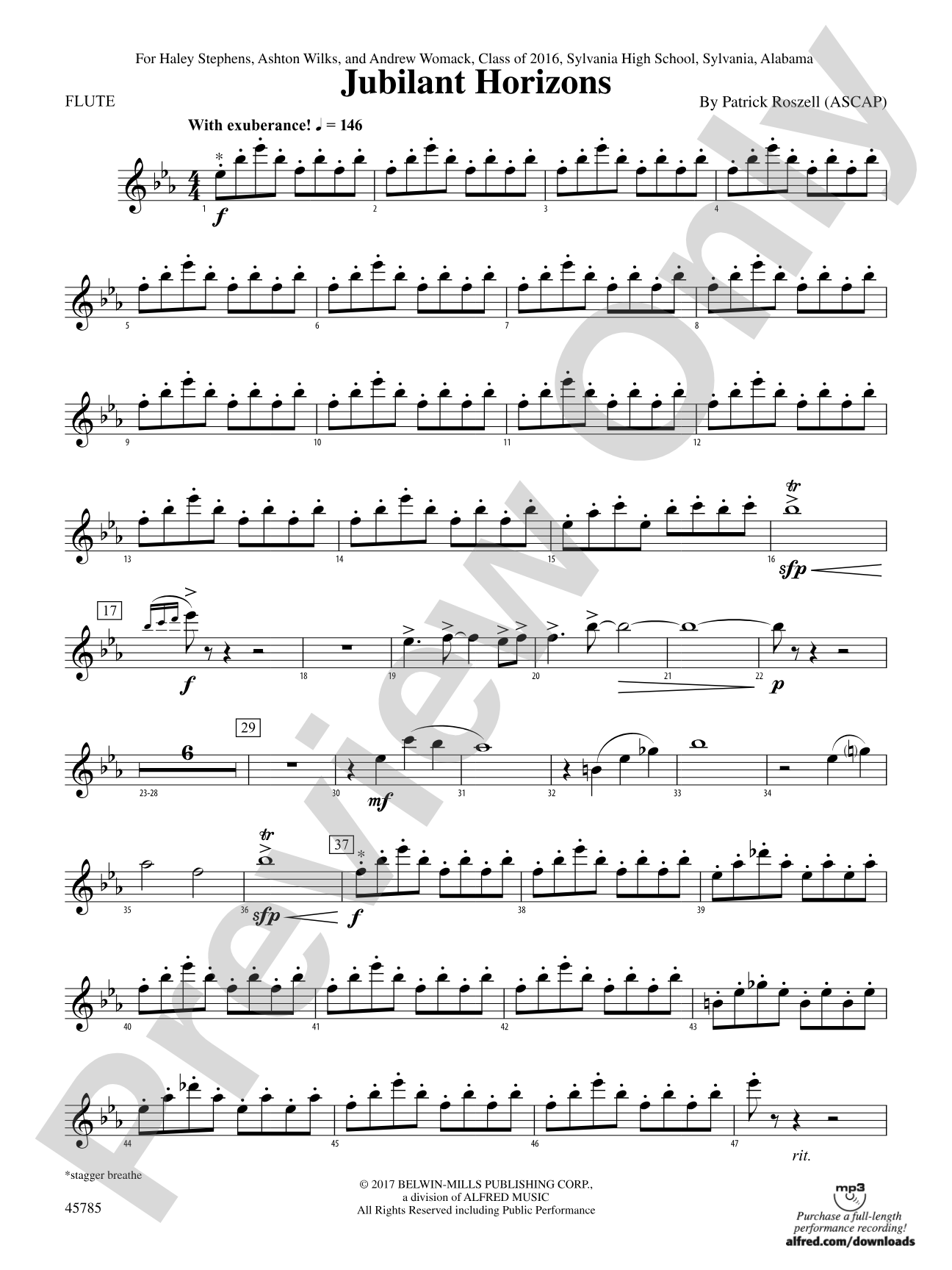 Jubilant Horizons: Flute