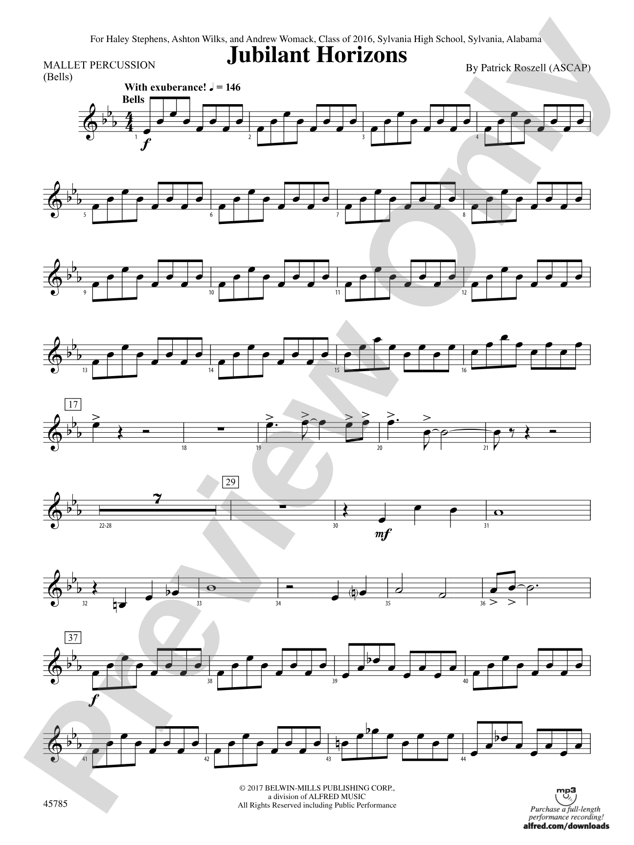 Jubilant Horizons: Mallets