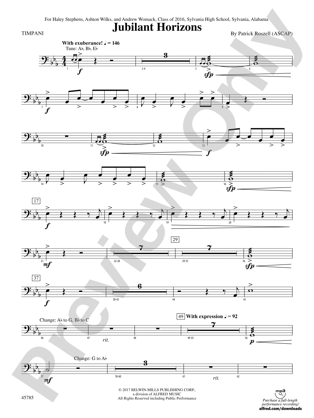 Jubilant Horizons: Timpani