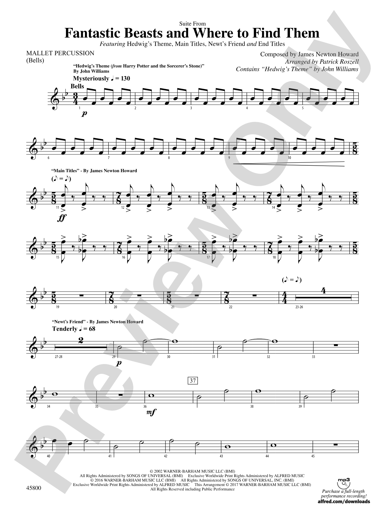 Suite from Fantastic Beasts and Where to Find Them: Mallets