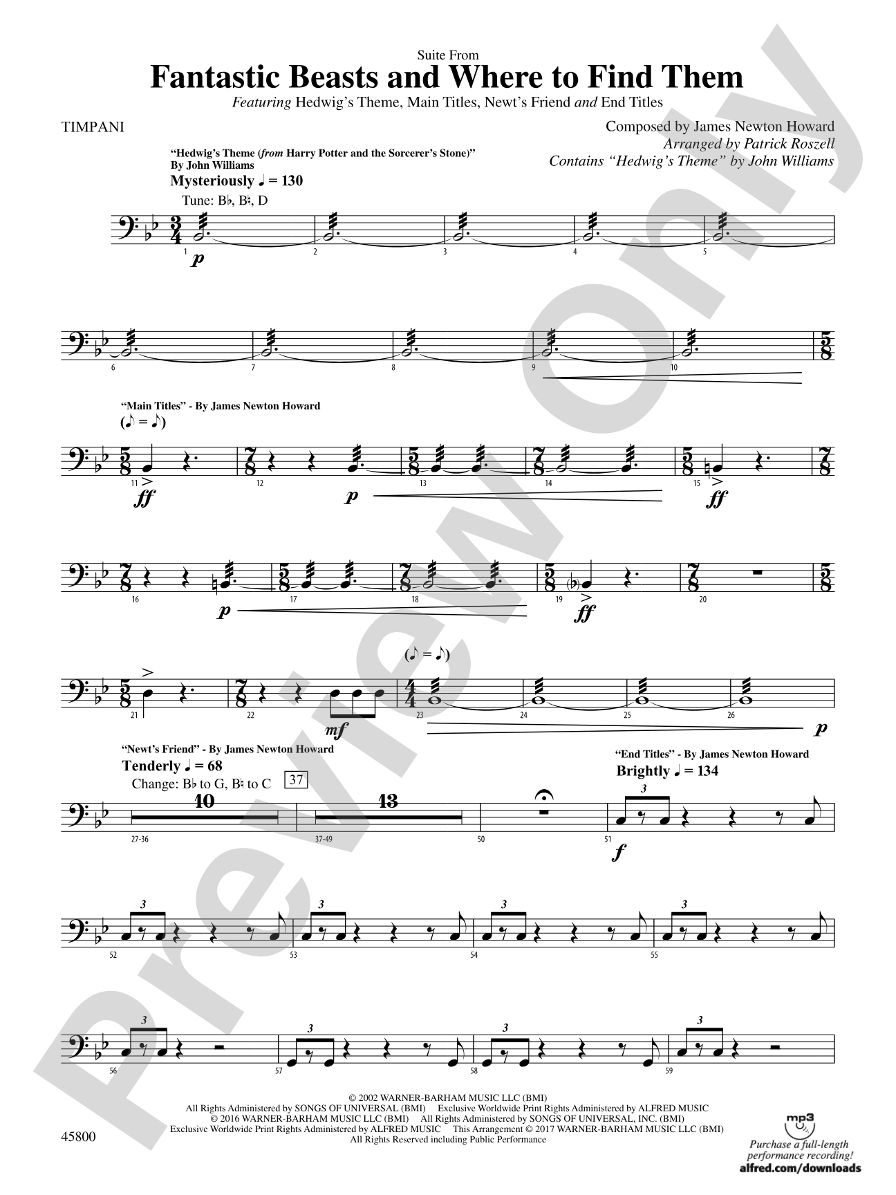 Suite from Fantastic Beasts and Where to Find Them: Timpani