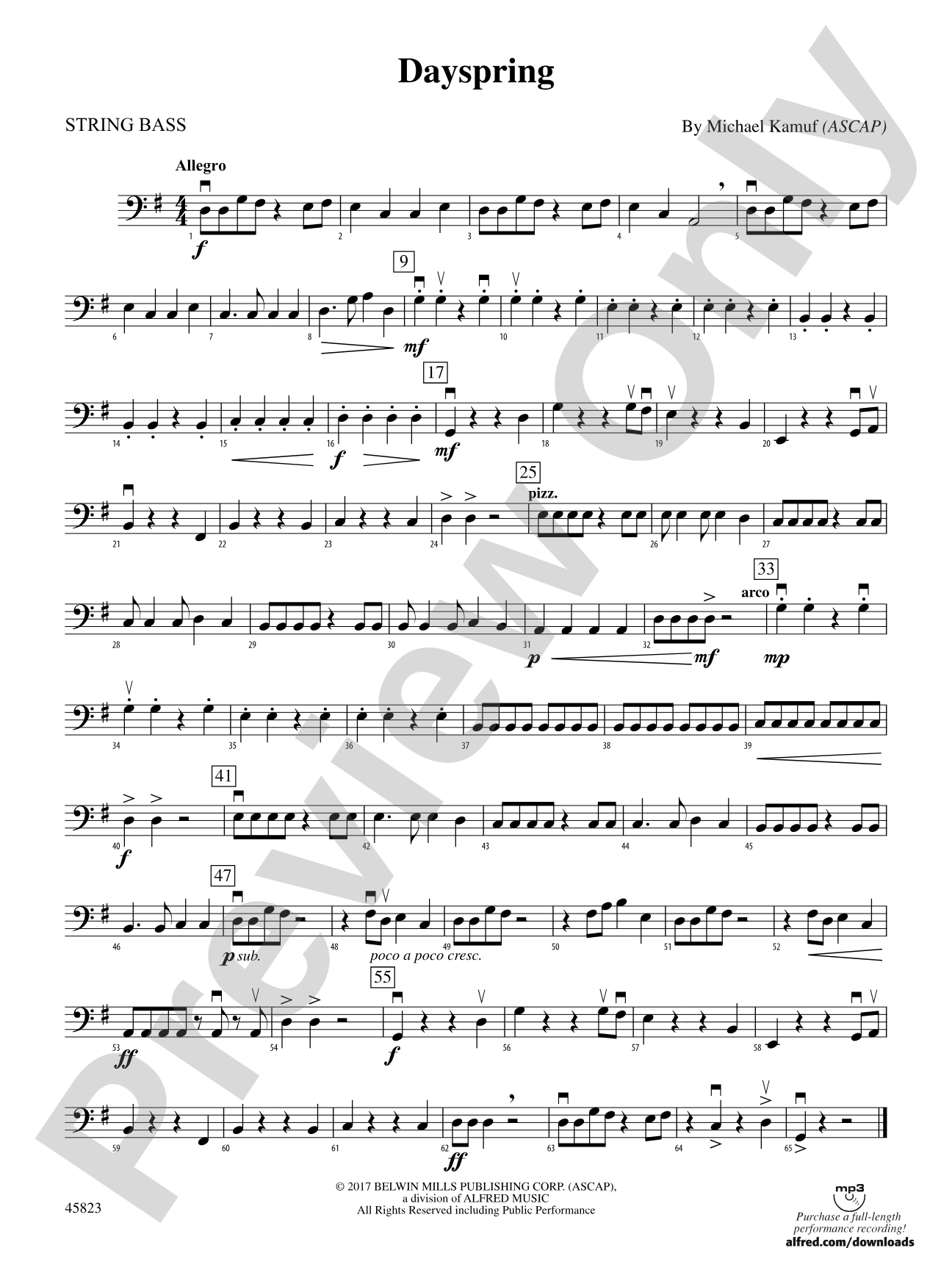 Dayspring: String Bass