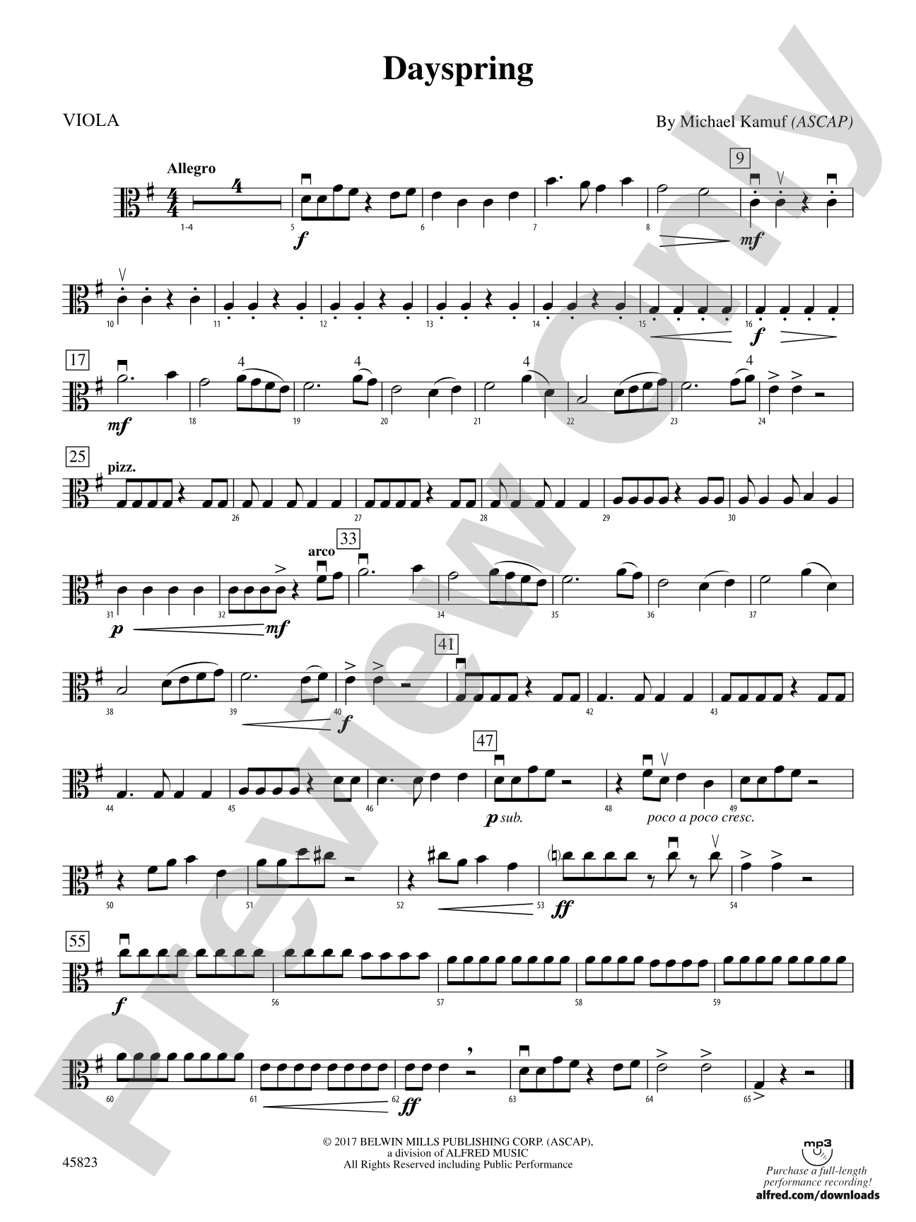 Dayspring: Viola