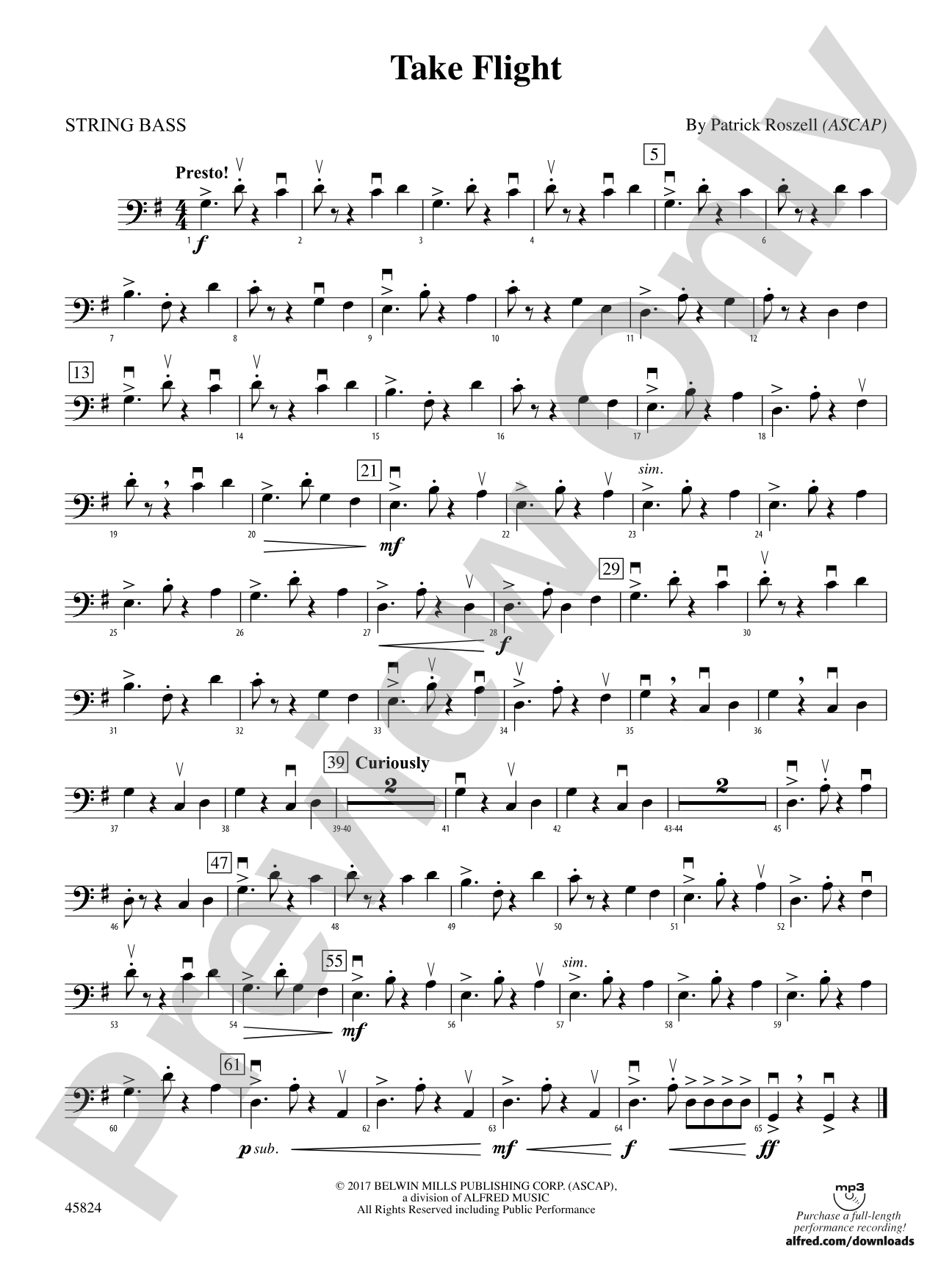 Take Flight: String Bass
