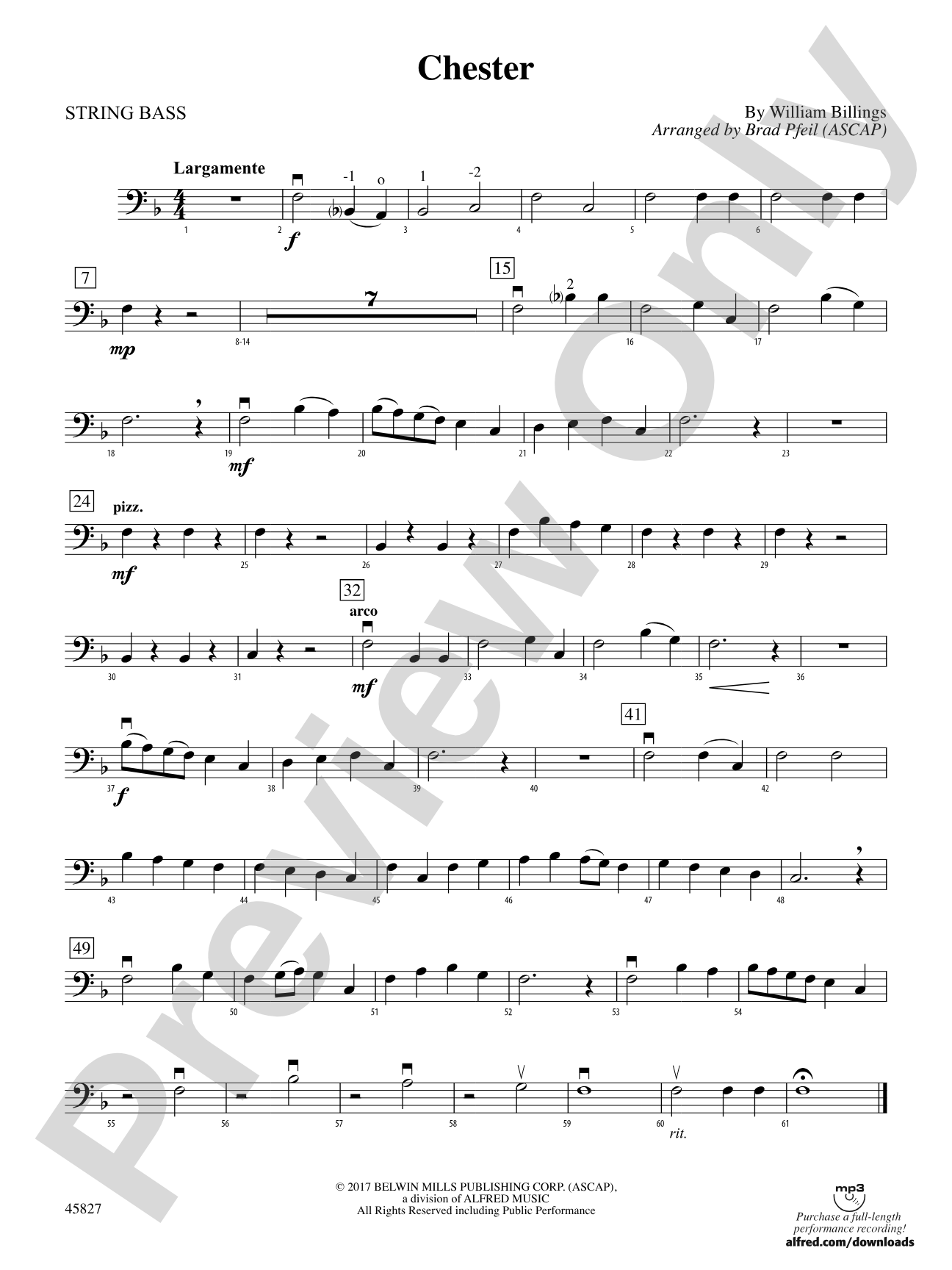 Chester: String Bass
