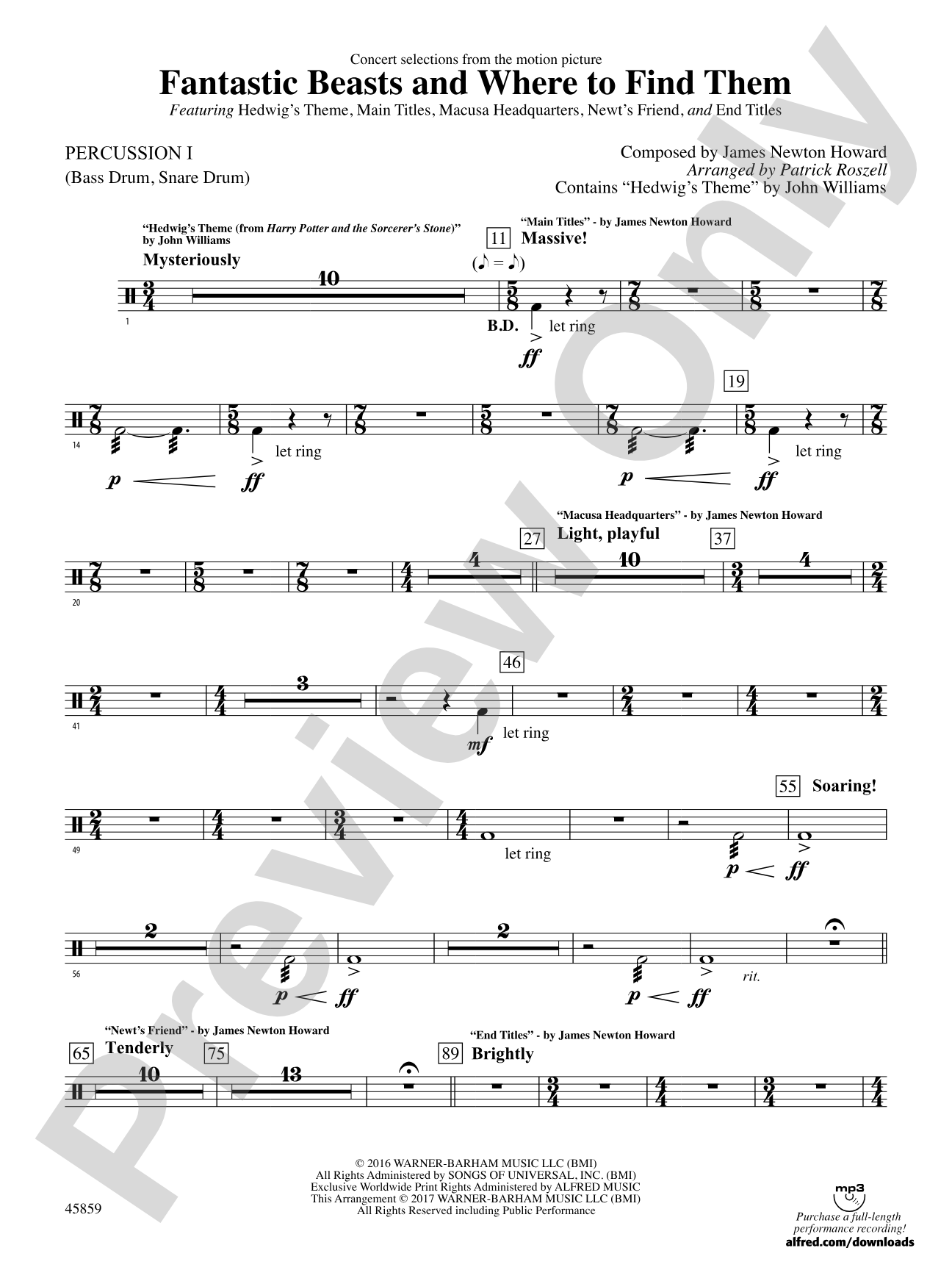 Fantastic Beasts and Where to Find Them: 1st Percussion
