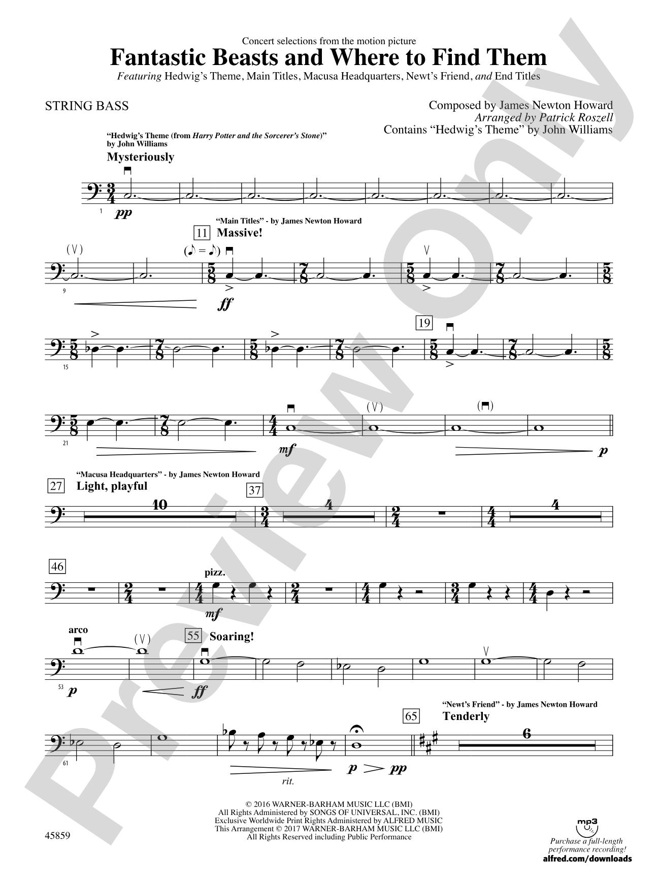 Fantastic Beasts and Where to Find Them: String Bass