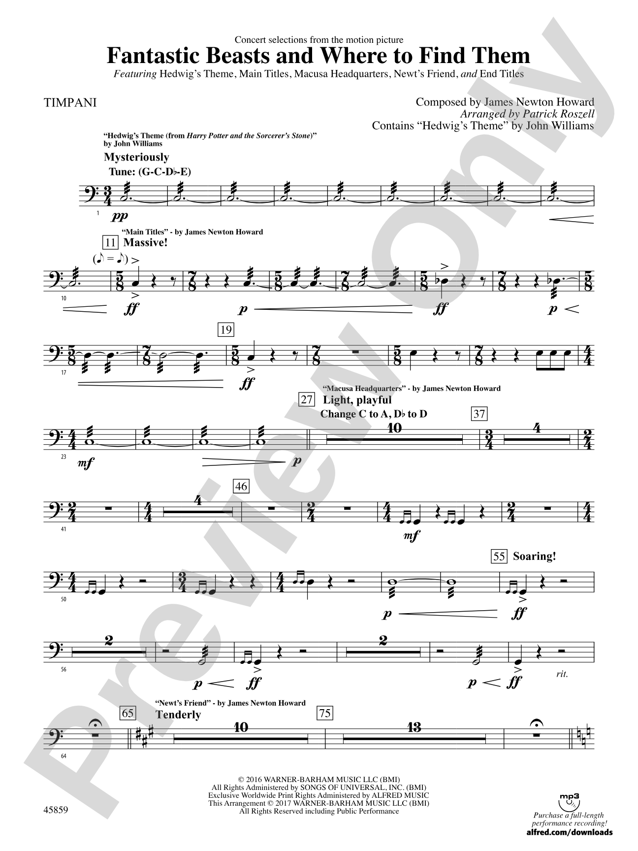 Fantastic Beasts and Where to Find Them: Timpani