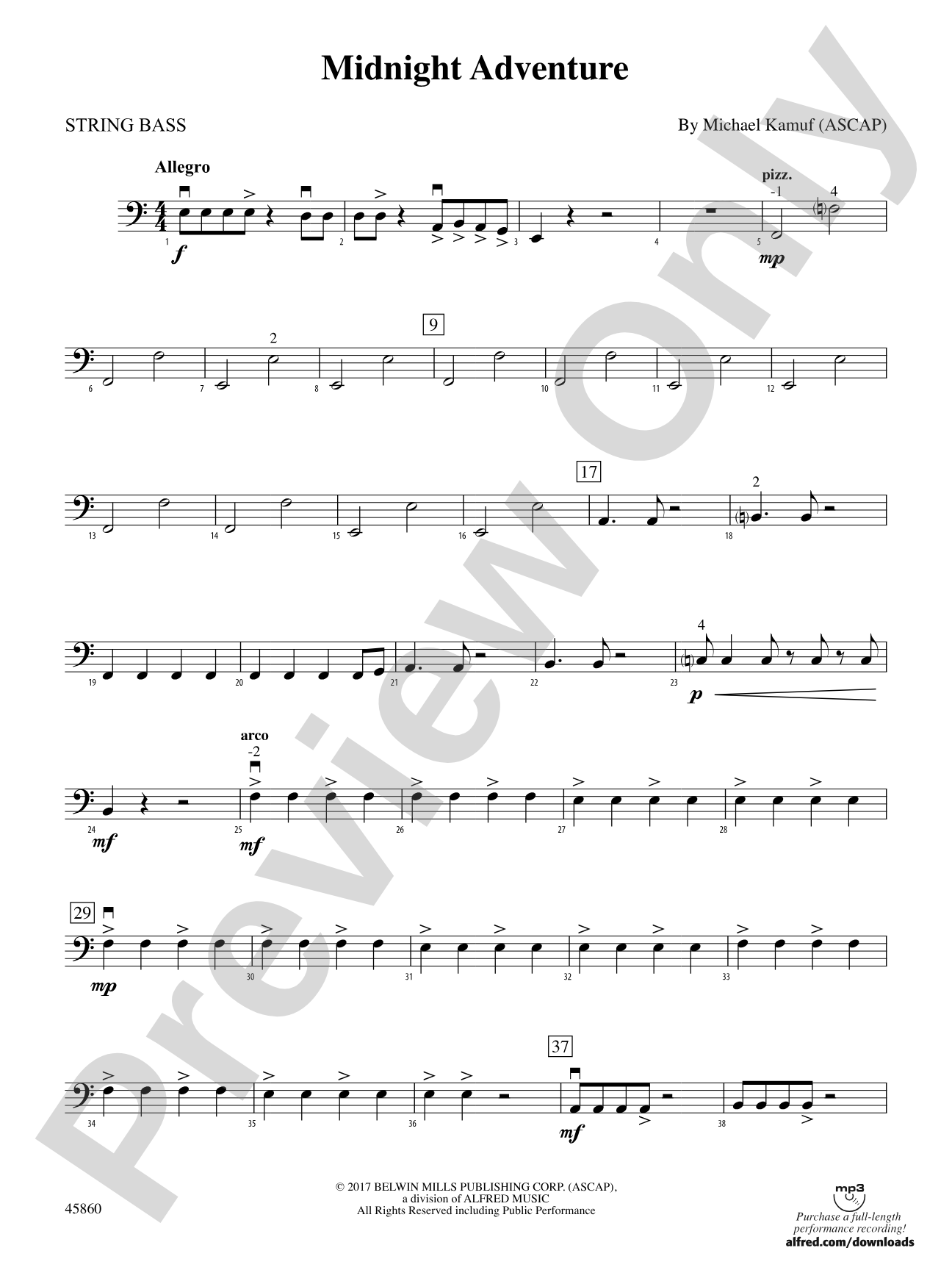 Midnight Adventure: String Bass
