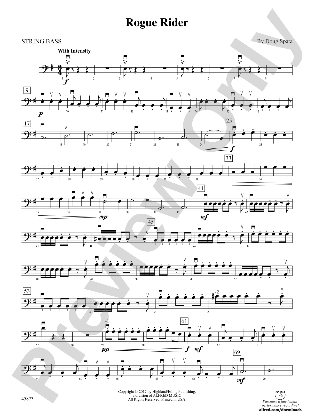Rogue Rider: String Bass