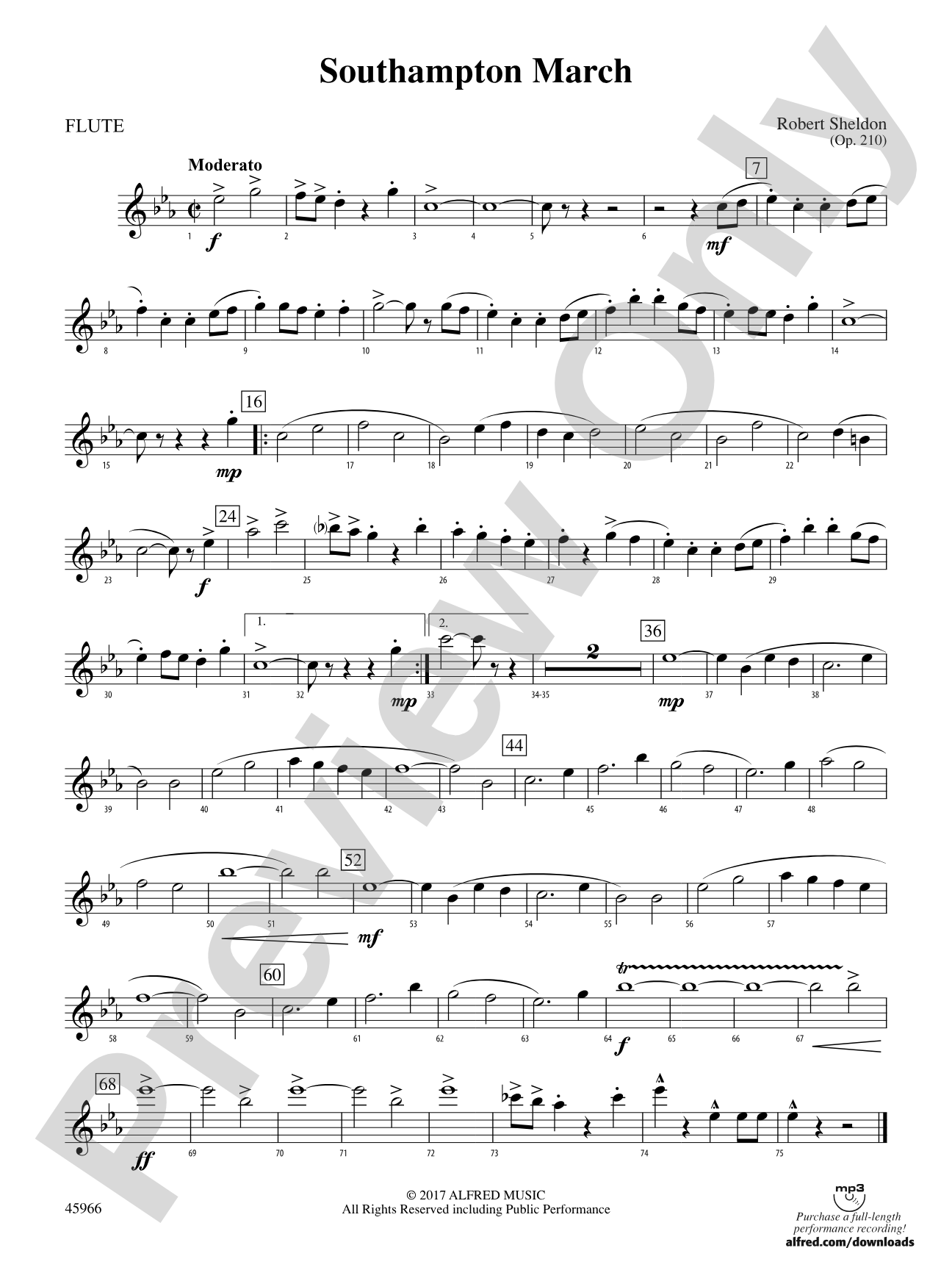 Southampton March: Flute