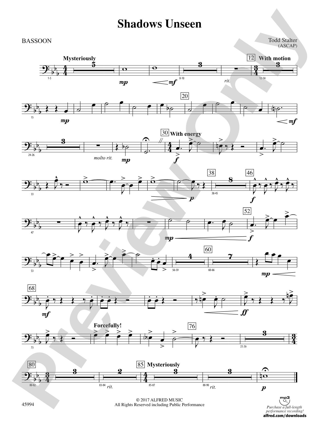 Shadows Unseen: Bassoon