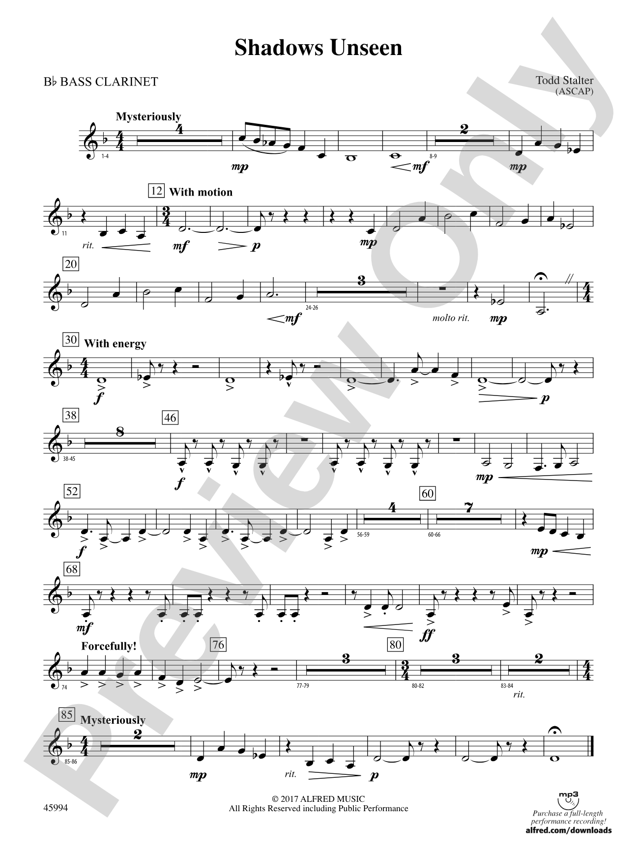 Shadows Unseen: B-flat Bass Clarinet