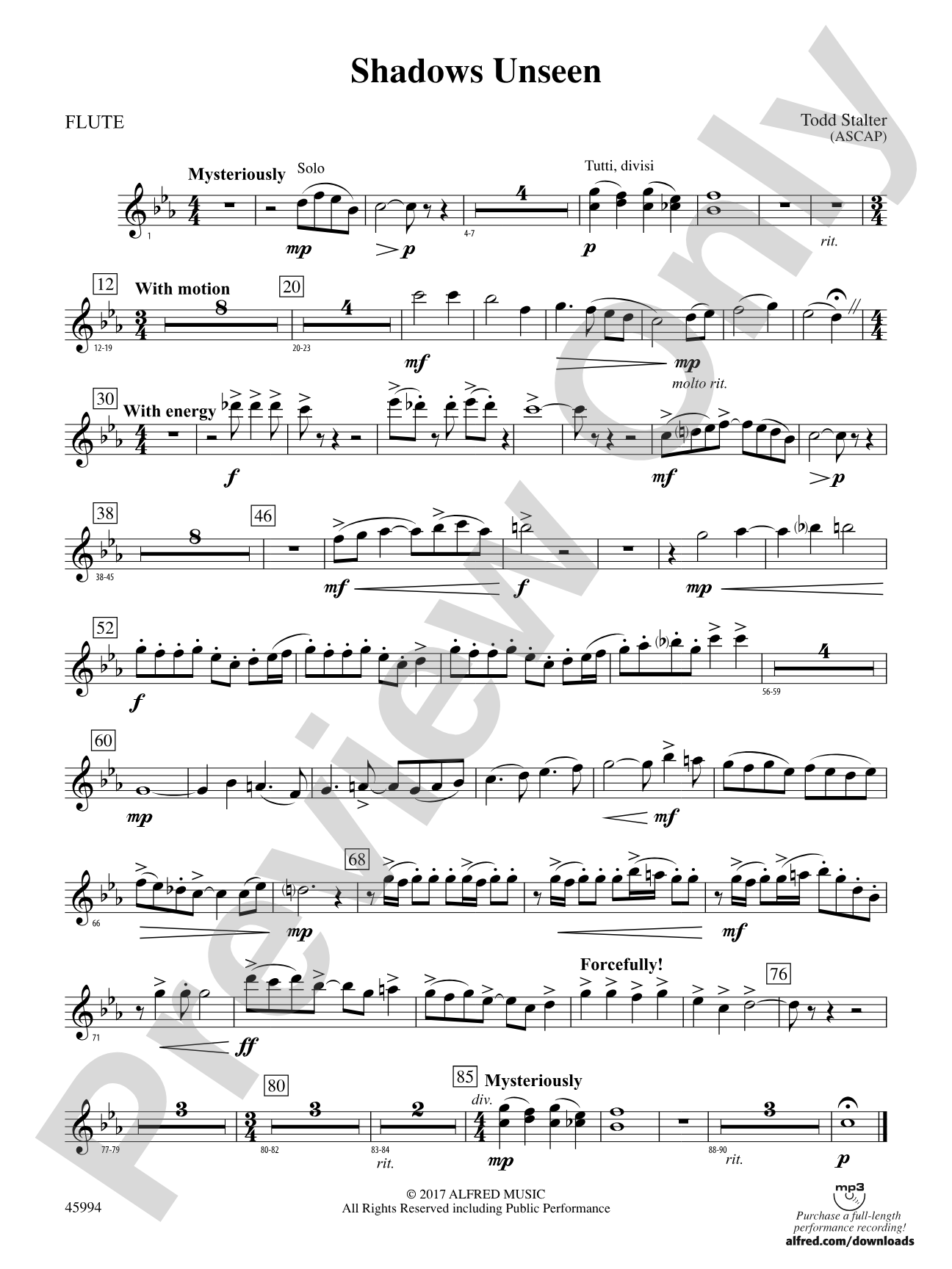 Shadows Unseen: Flute