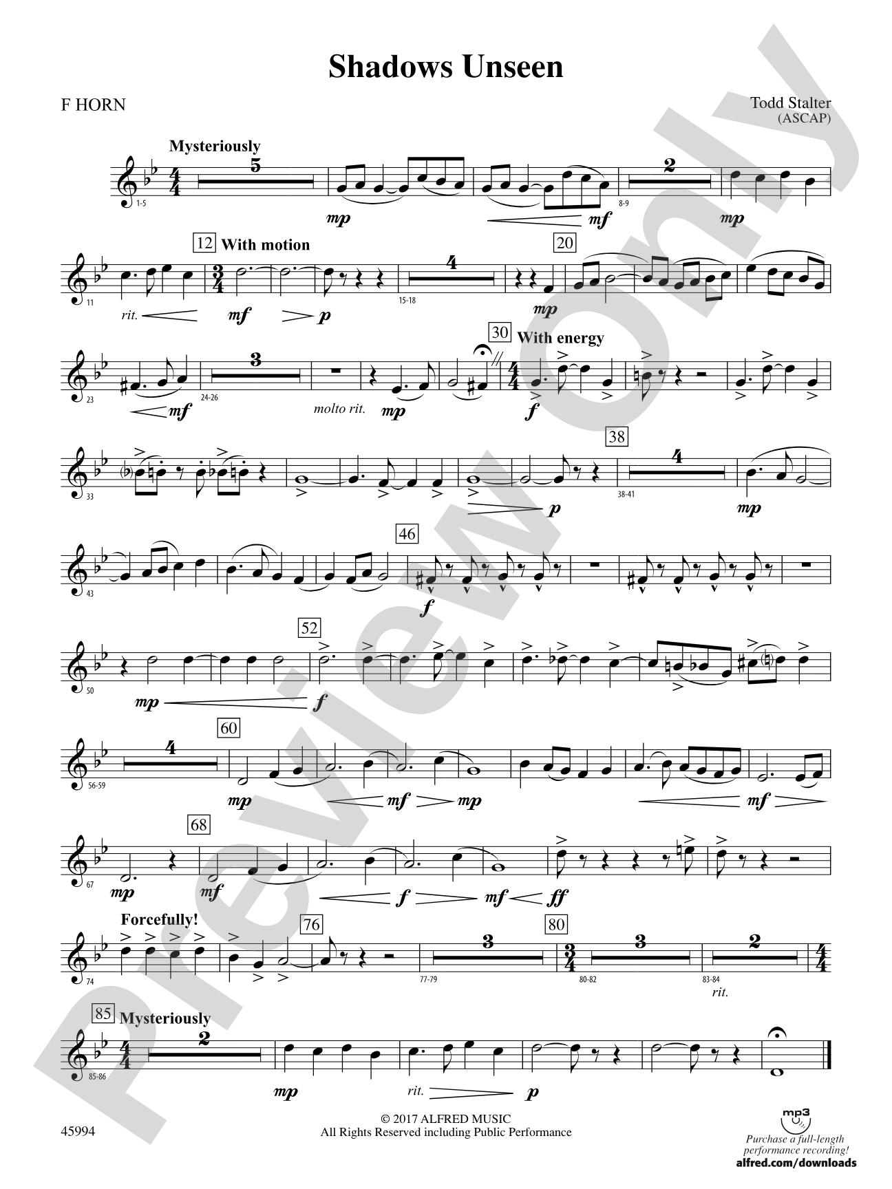 Shadows Unseen: 1st F Horn