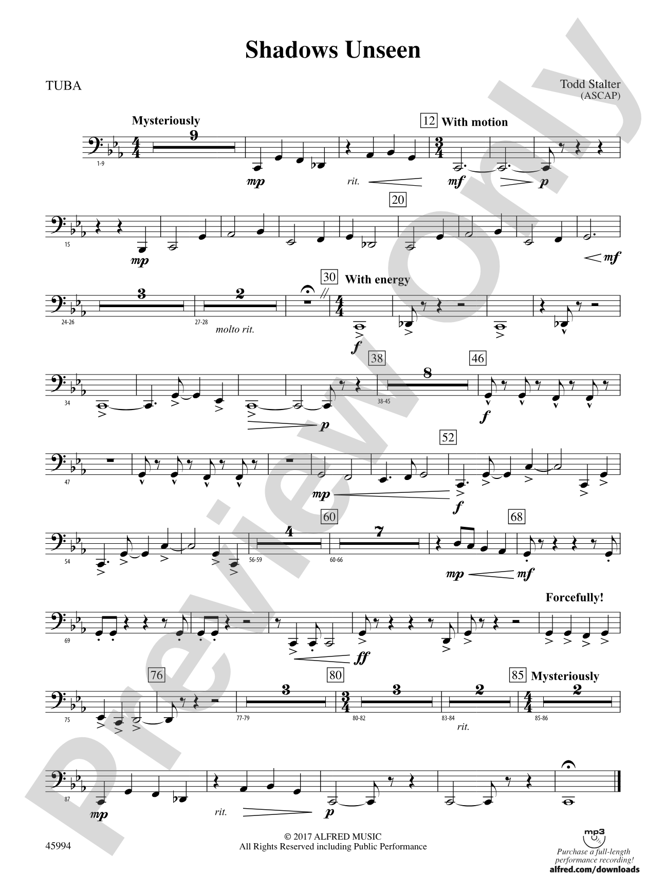 Shadows Unseen: Tuba