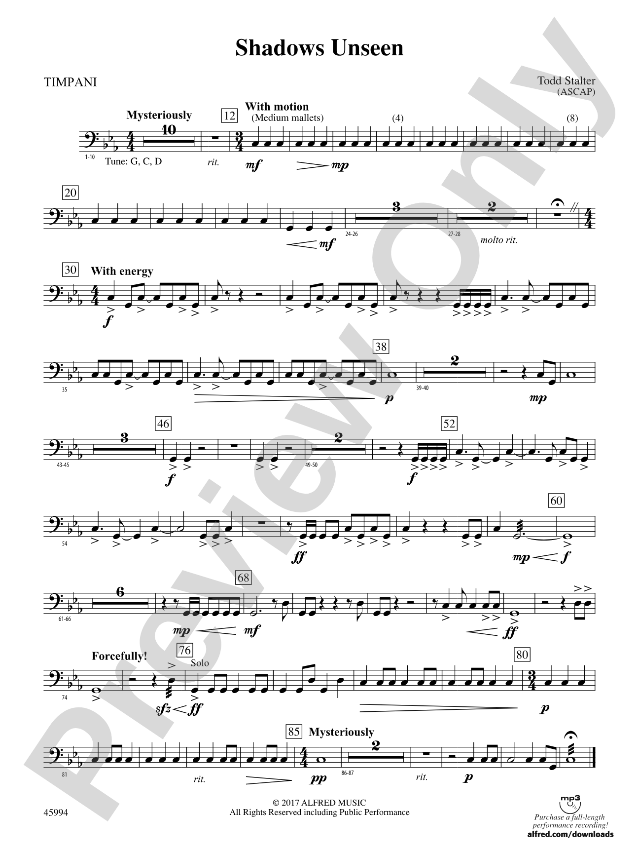 Shadows Unseen: Timpani