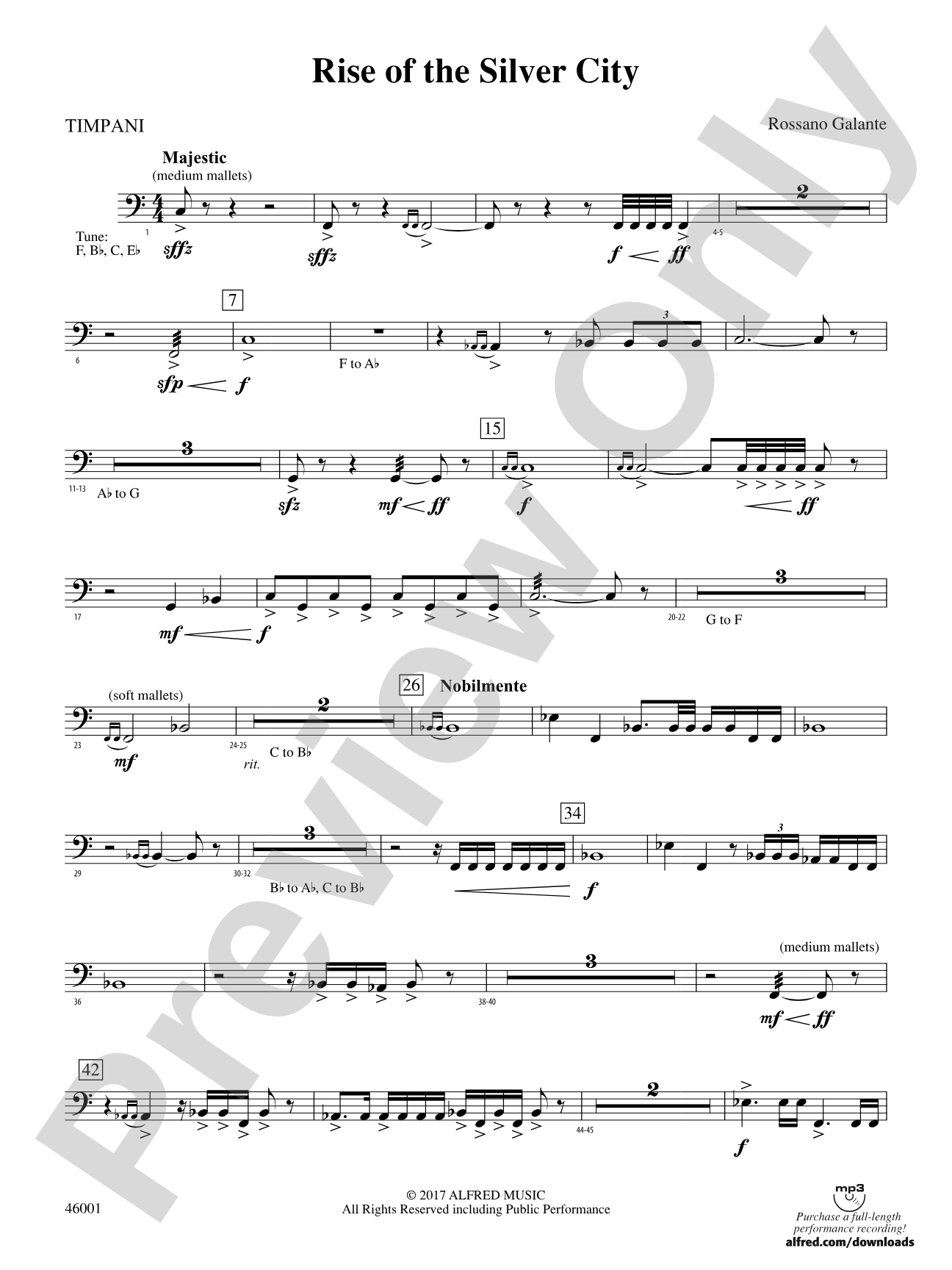 Rise of the Silver City: Timpani