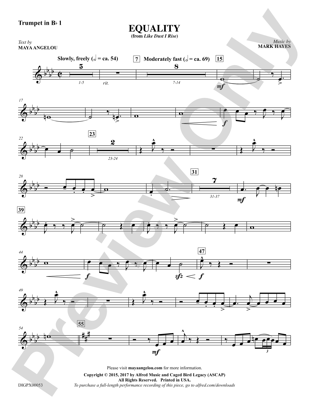 Equality: 1st B-flat Trumpet