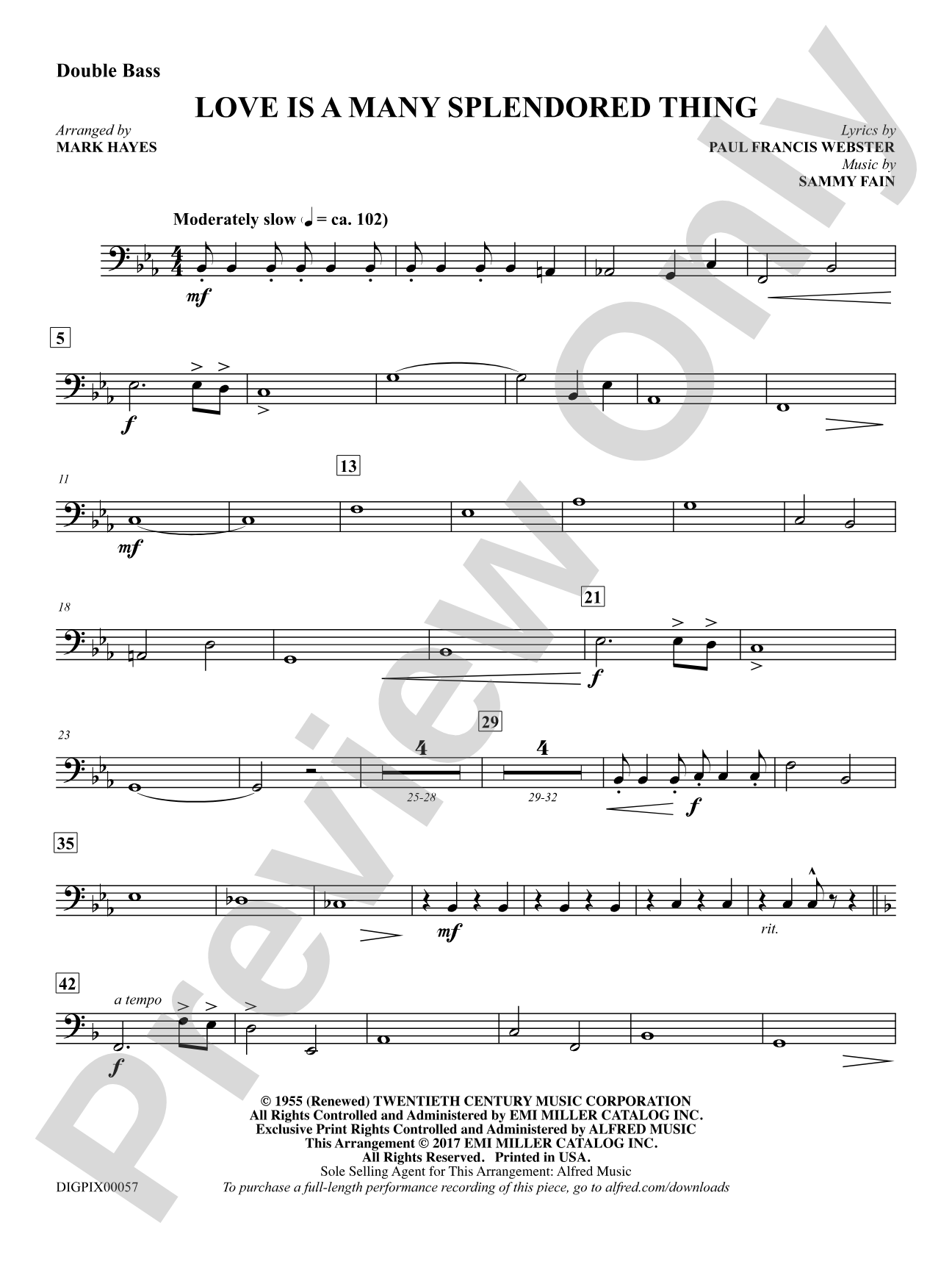Love Is a Many Splendored Thing: String Bass
